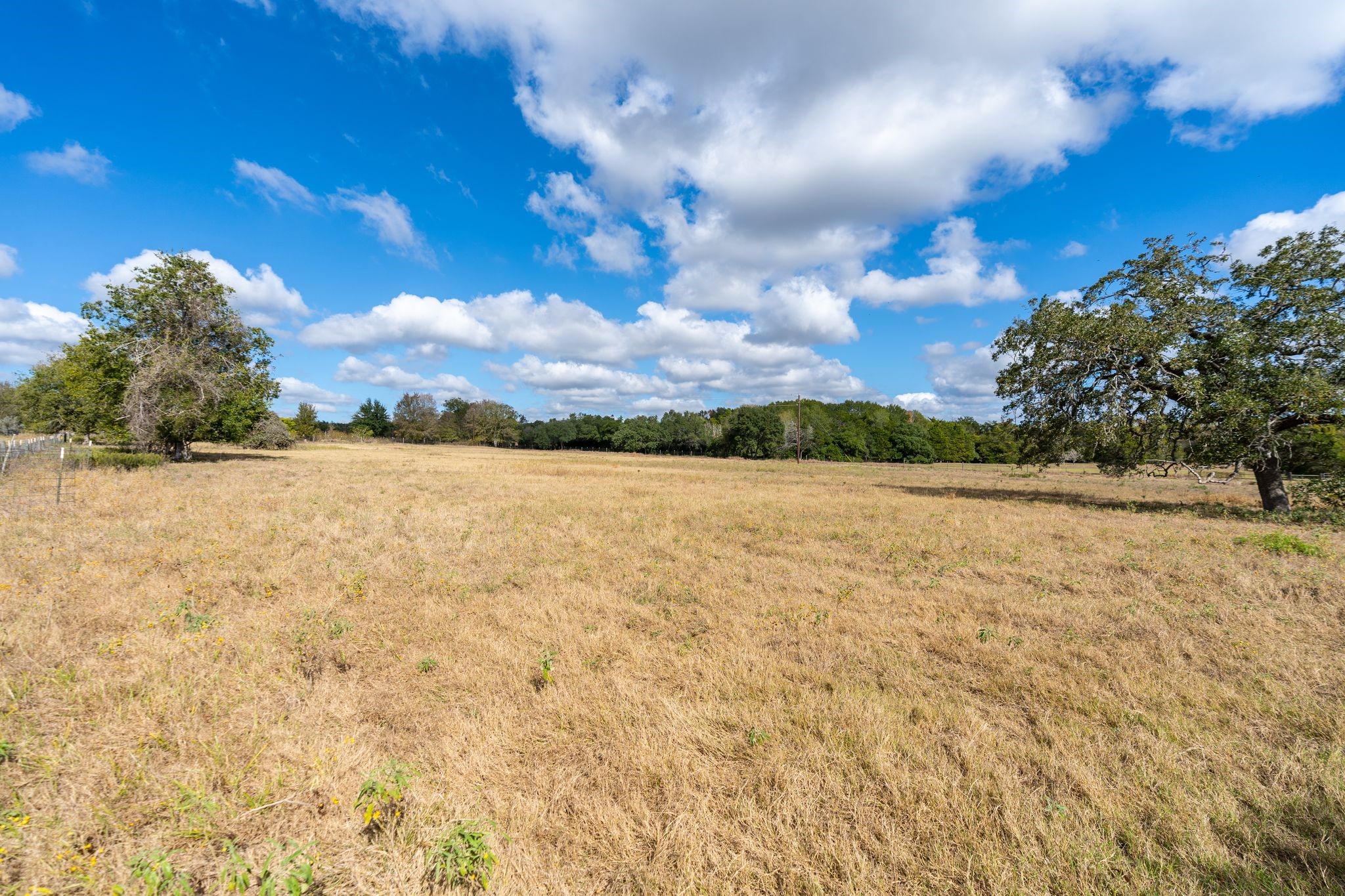 4003 State Highway 159 Property Photo 18