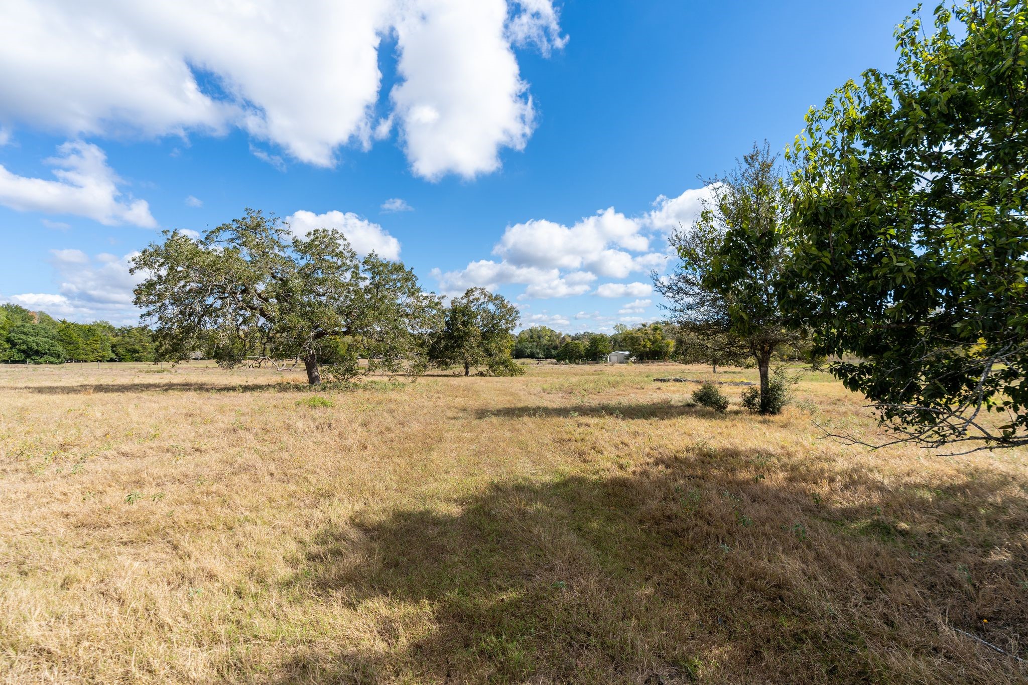 4003 State Highway 159 Property Photo 19