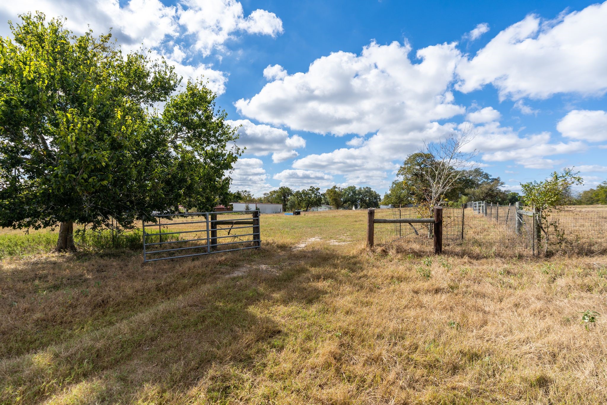 4003 State Highway 159 Property Photo 20