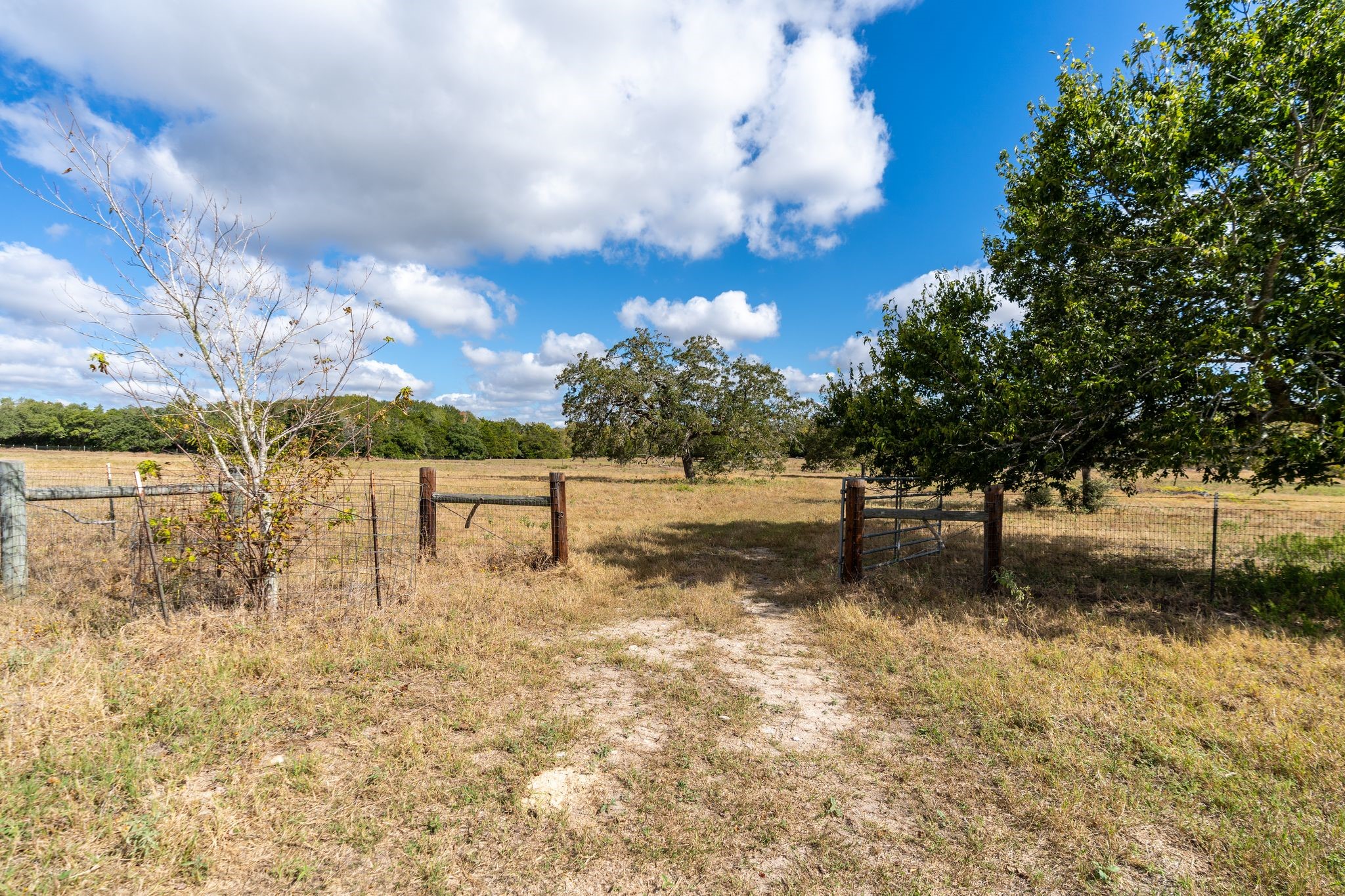 4003 State Highway 159 Property Photo 21