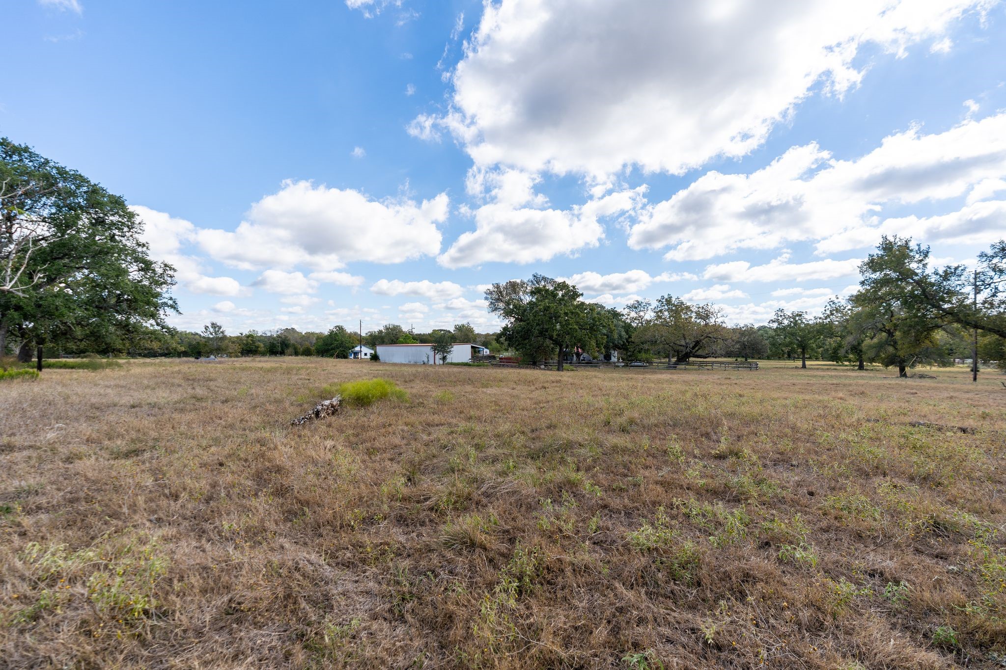 4003 State Highway 159 Property Photo 23