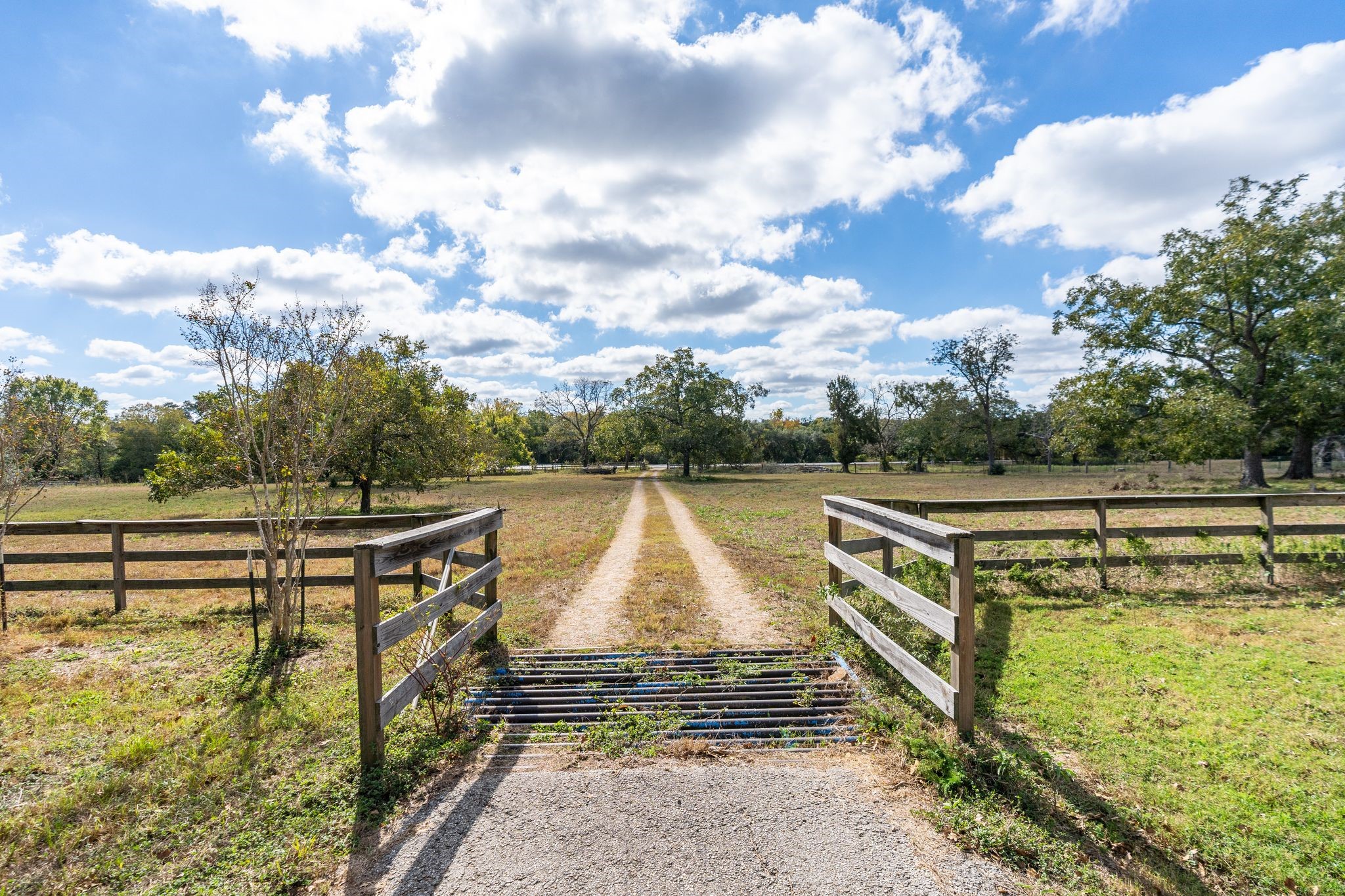4003 State Highway 159 Property Photo 25