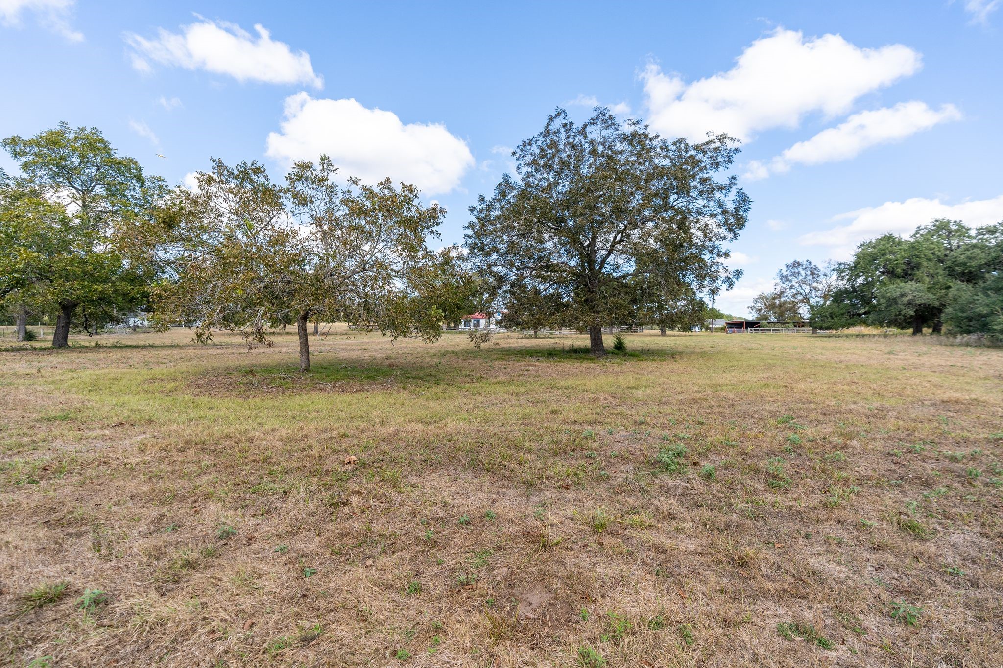 4003 State Highway 159 Property Photo 28