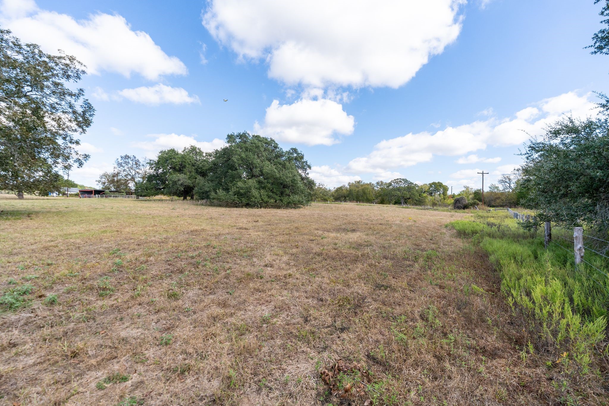 4003 State Highway 159 Property Photo 29