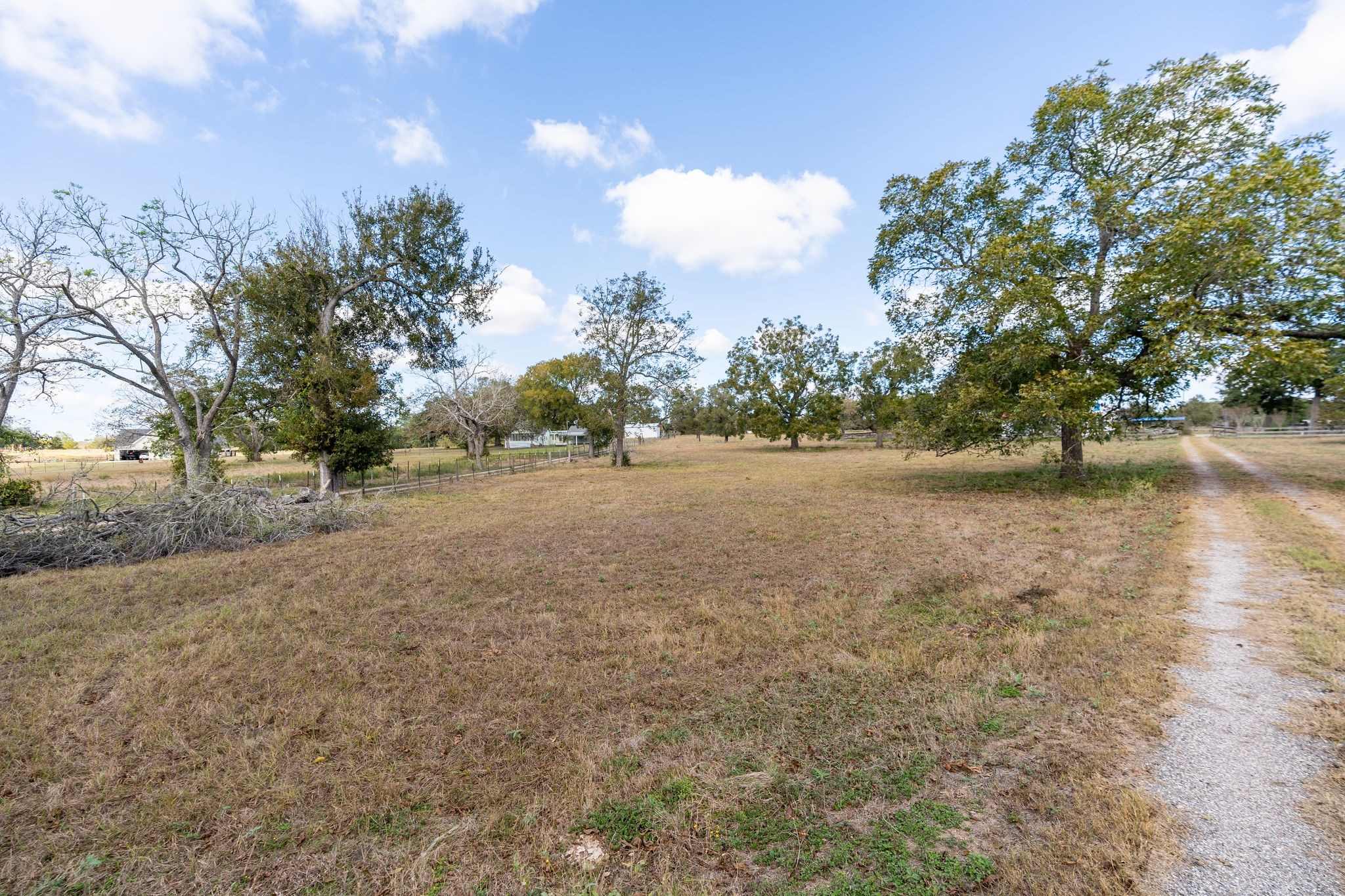 4003 State Highway 159 Property Photo 30