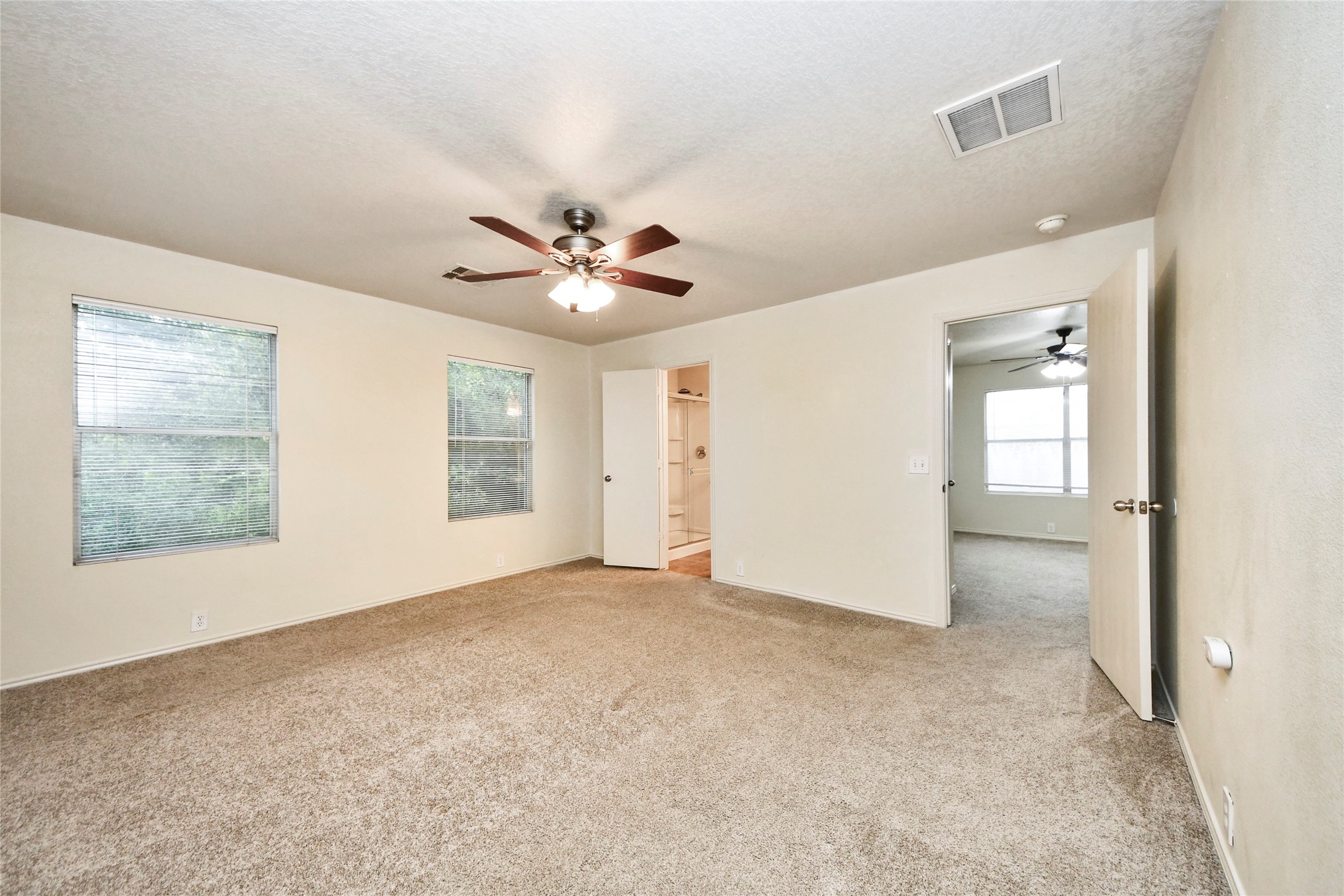 915 Grand Plains Drive Property Photo 38