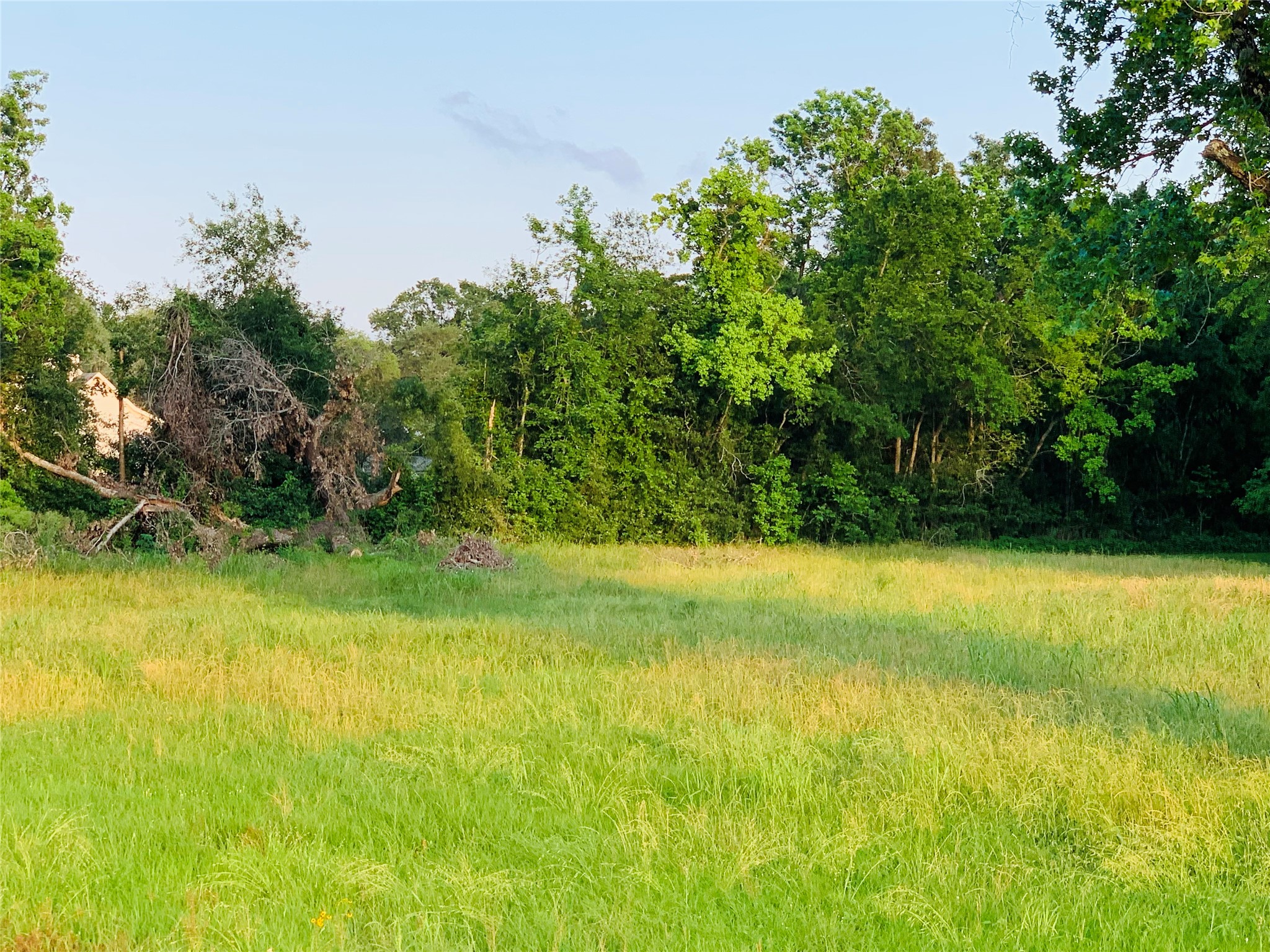 Tbd Fm 2100 Road Property Photo 7