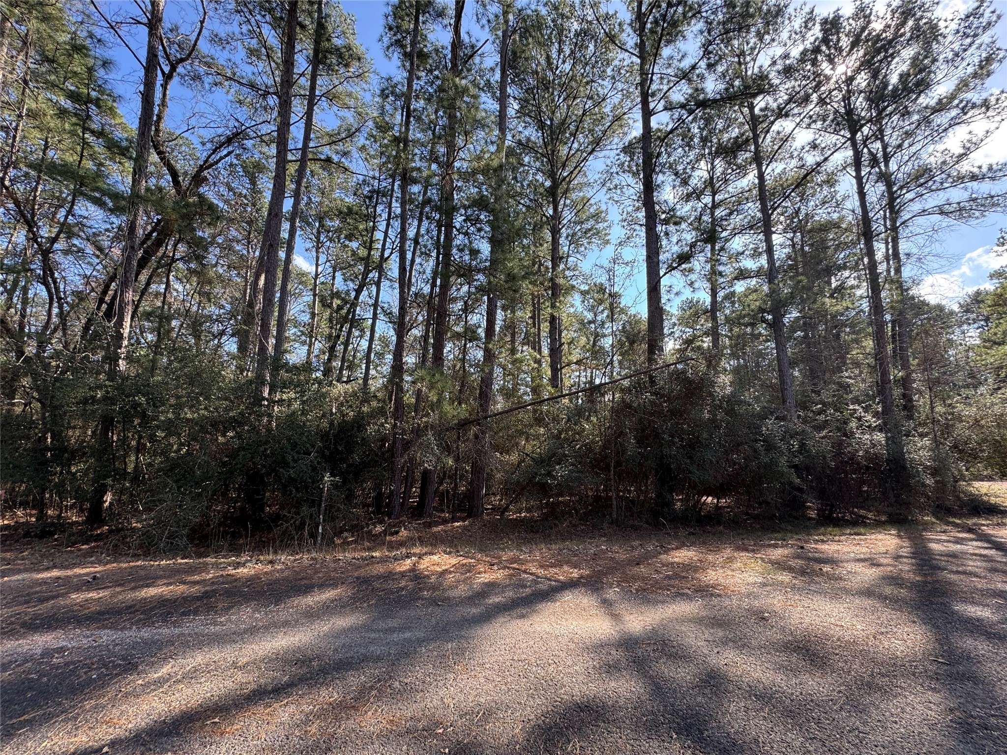 Tbd White Oak Street Property Photo 2