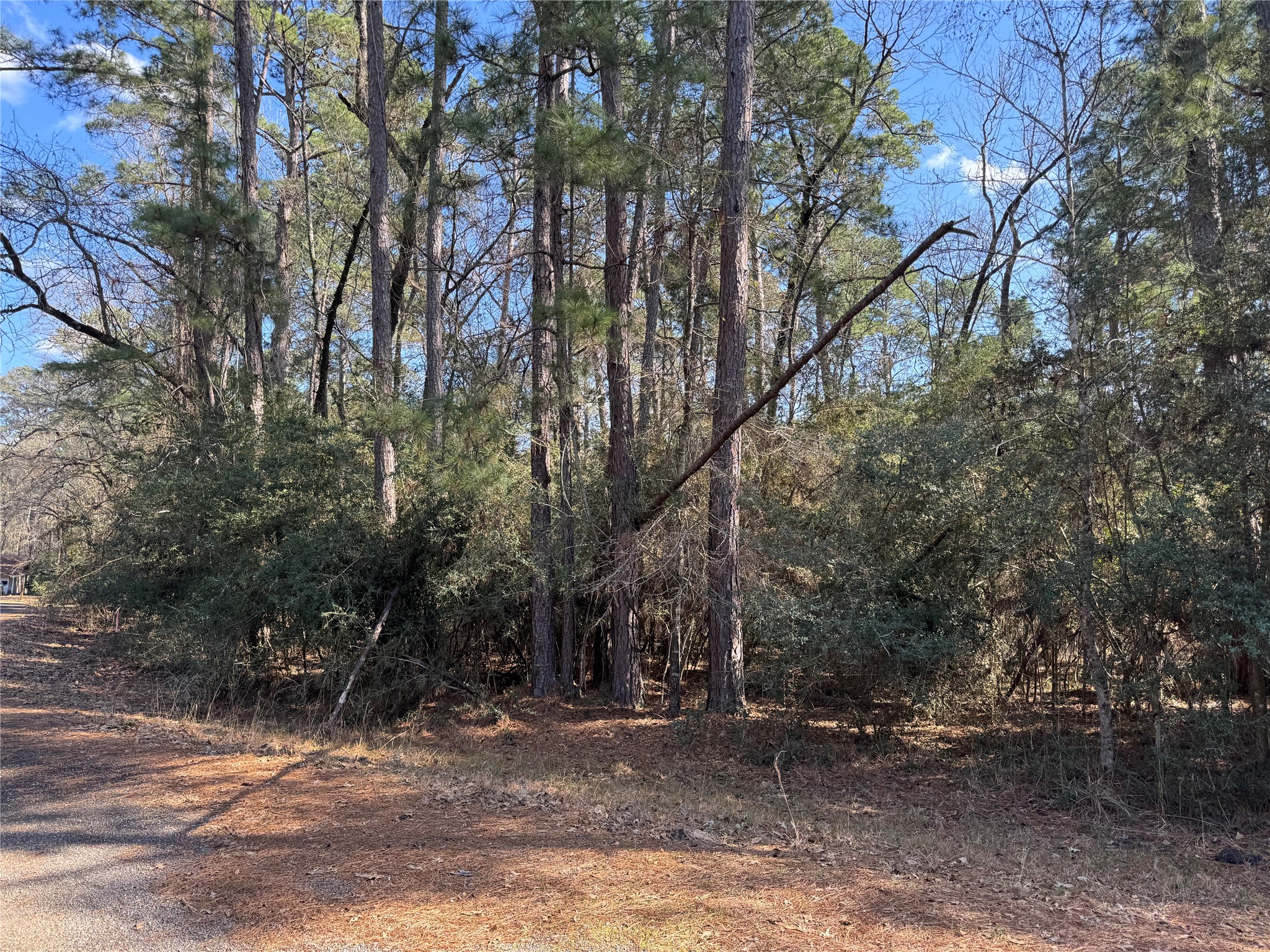 Tbd White Oak Street Property Photo 4