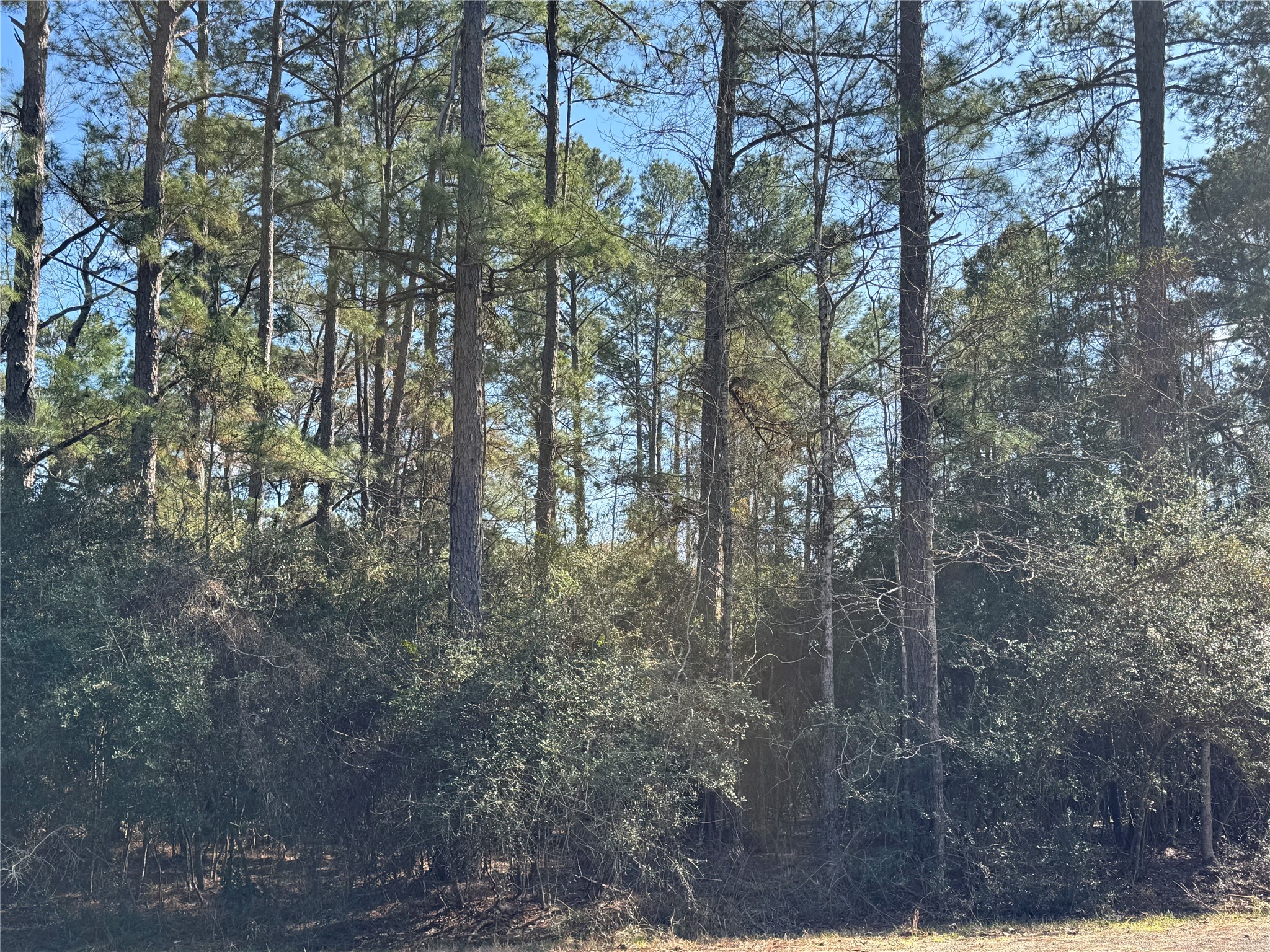 Tbd White Oak Street Property Photo 5