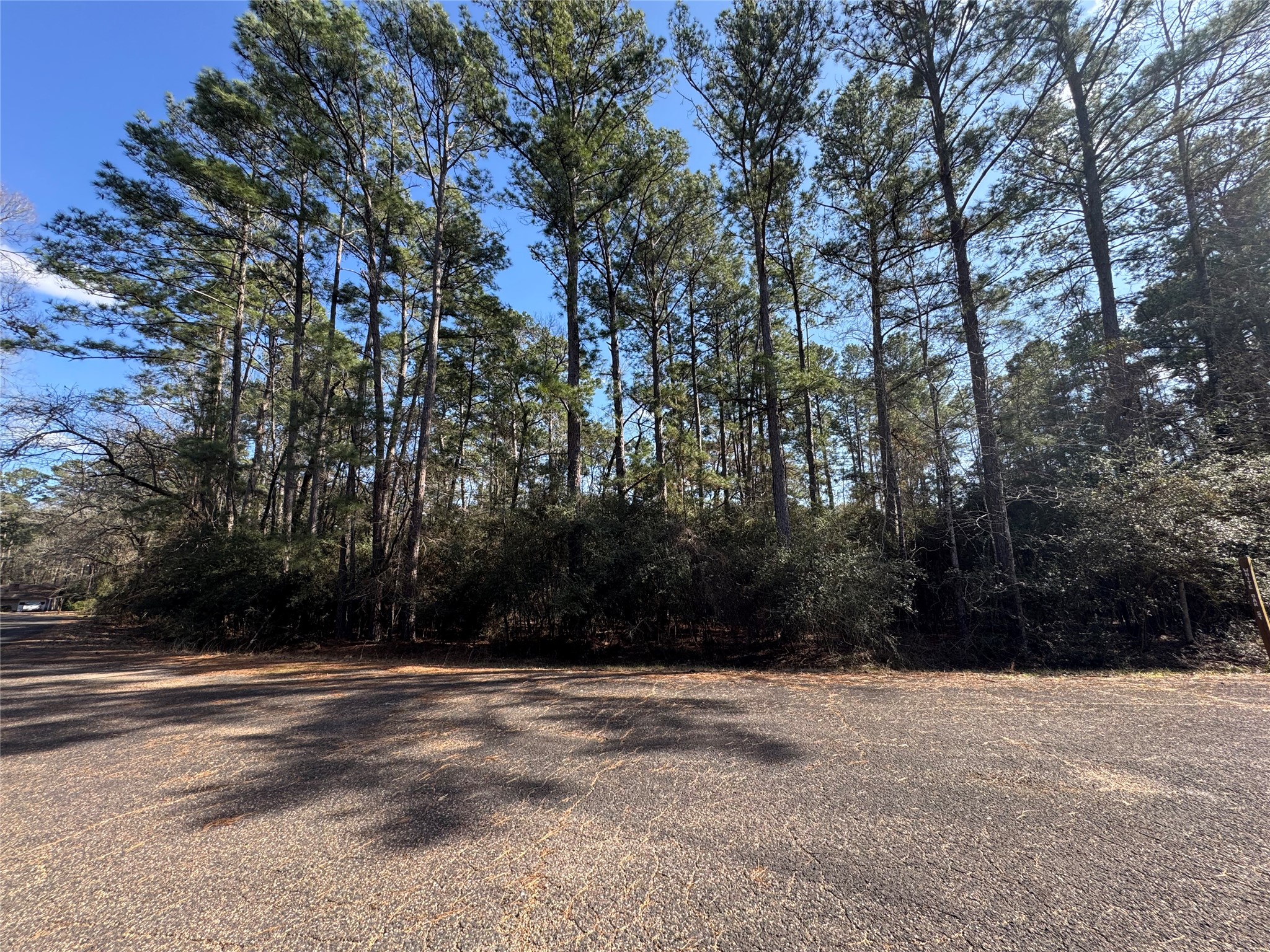 Tbd White Oak Street Property Photo 7