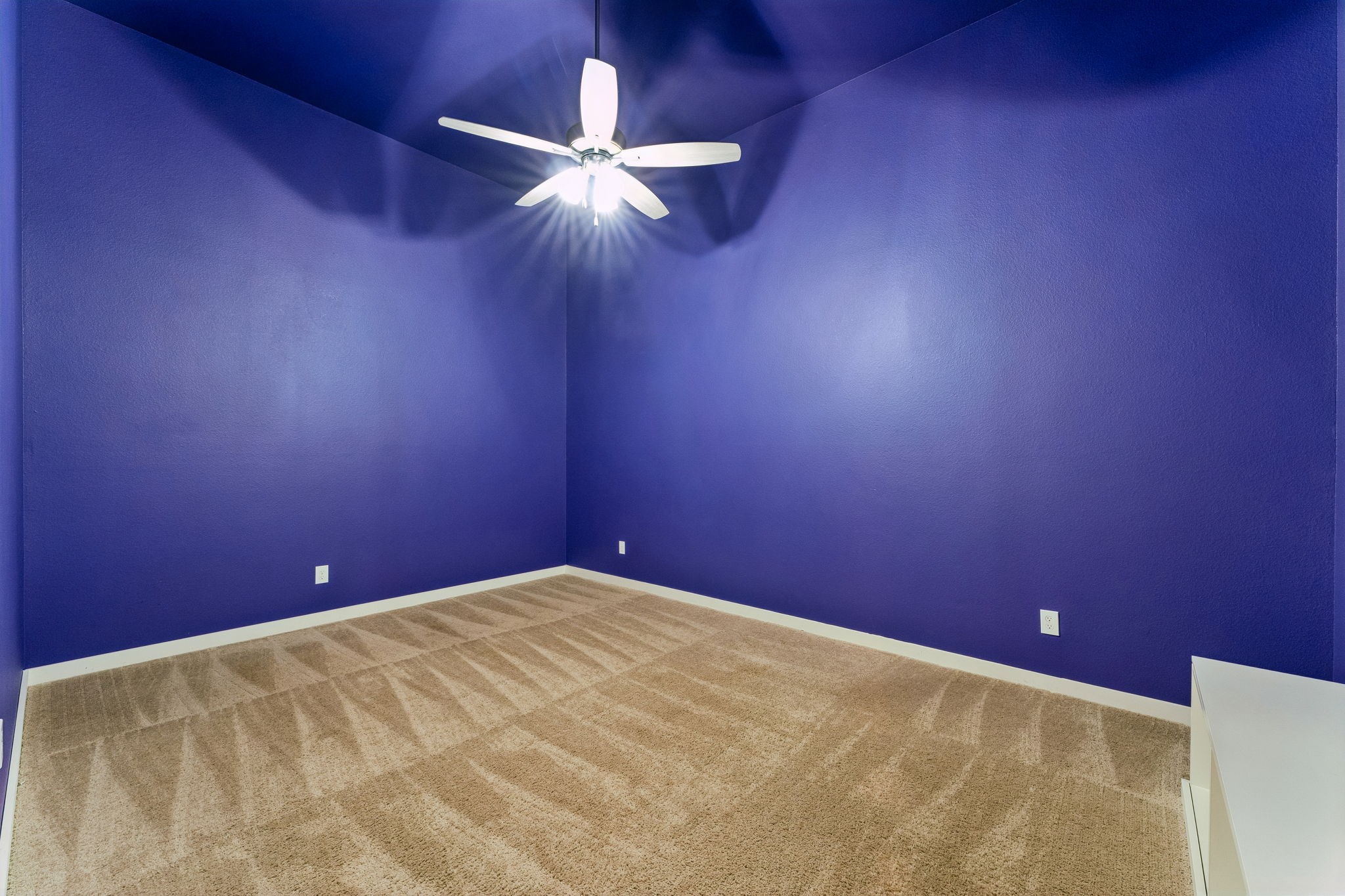 30410 Myrtle Oak Drive Property Photo 11