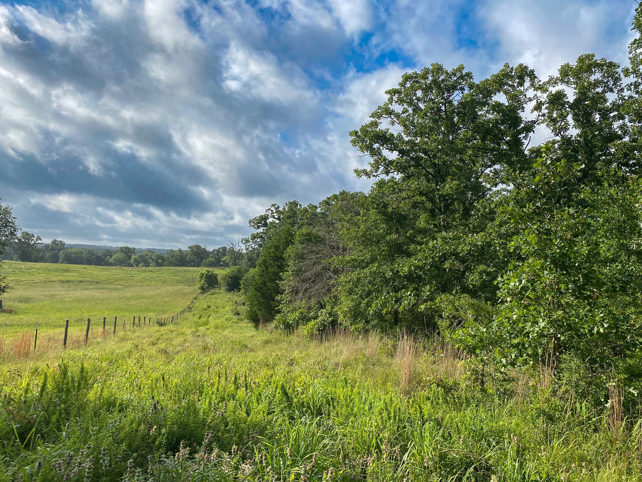 4660 County Road 426 Property Photo 1