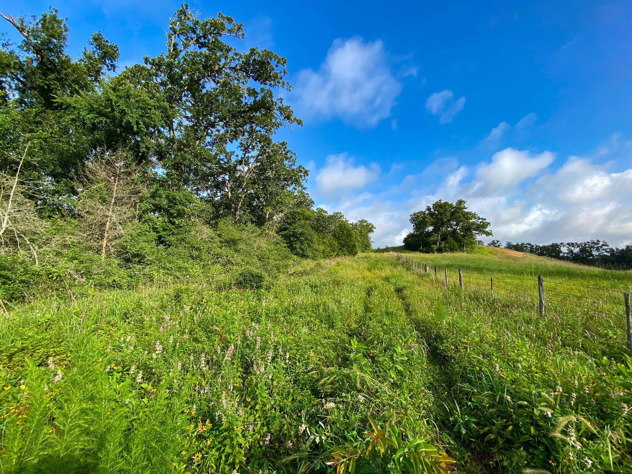 4660 County Road 426 Property Photo 2
