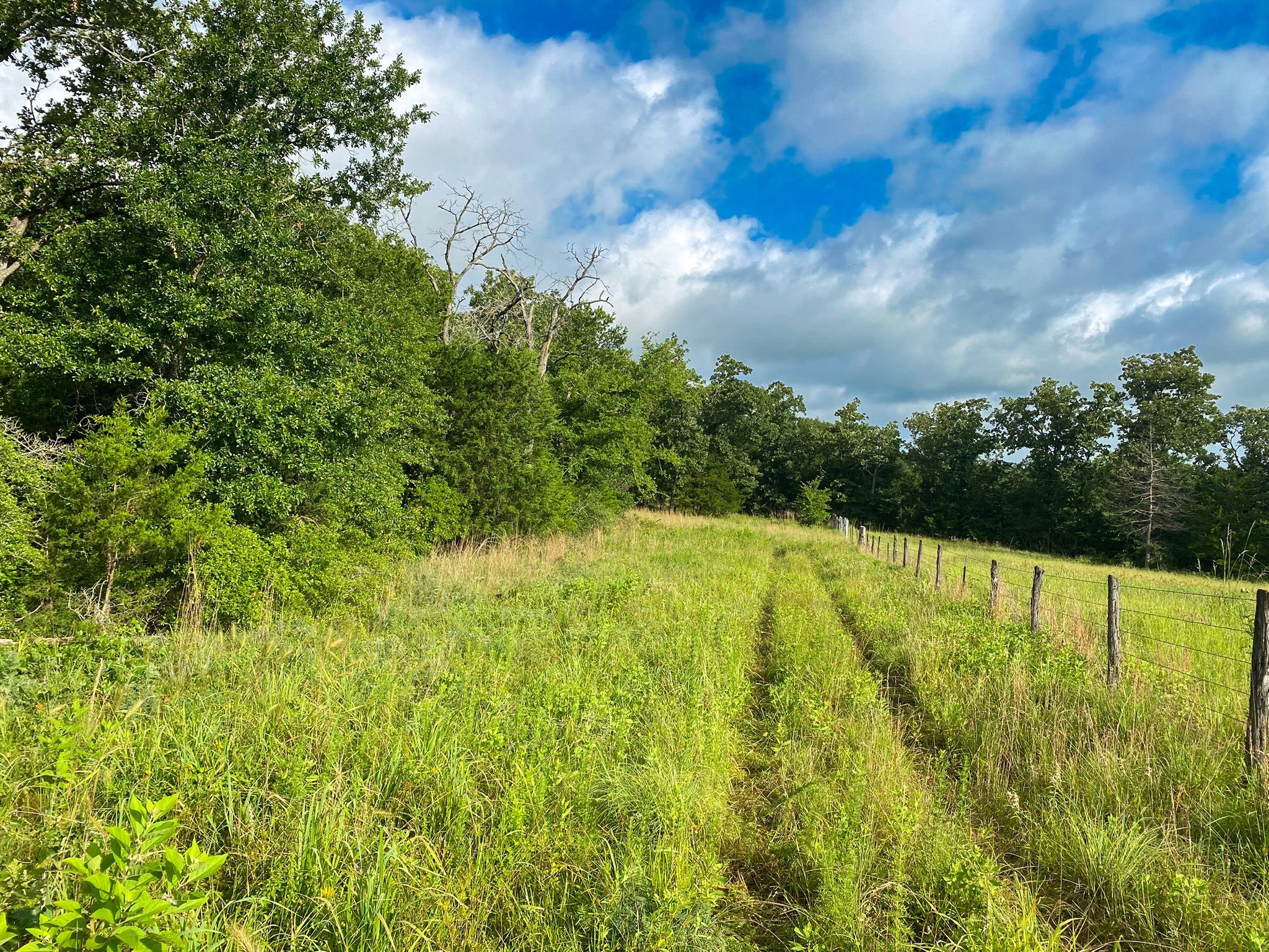 4660 County Road 426 Property Photo 3