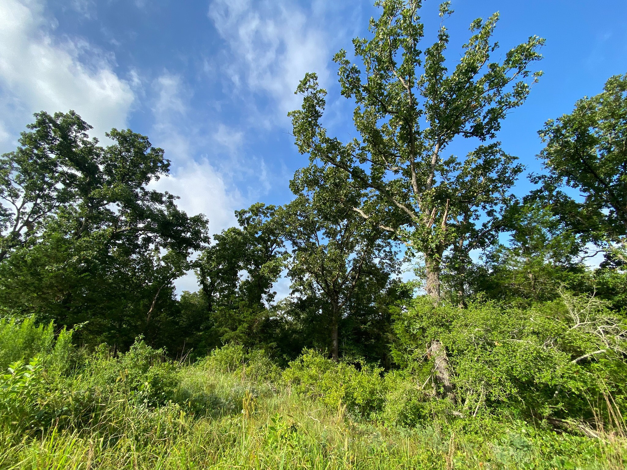 4660 County Road 426 Property Photo 4