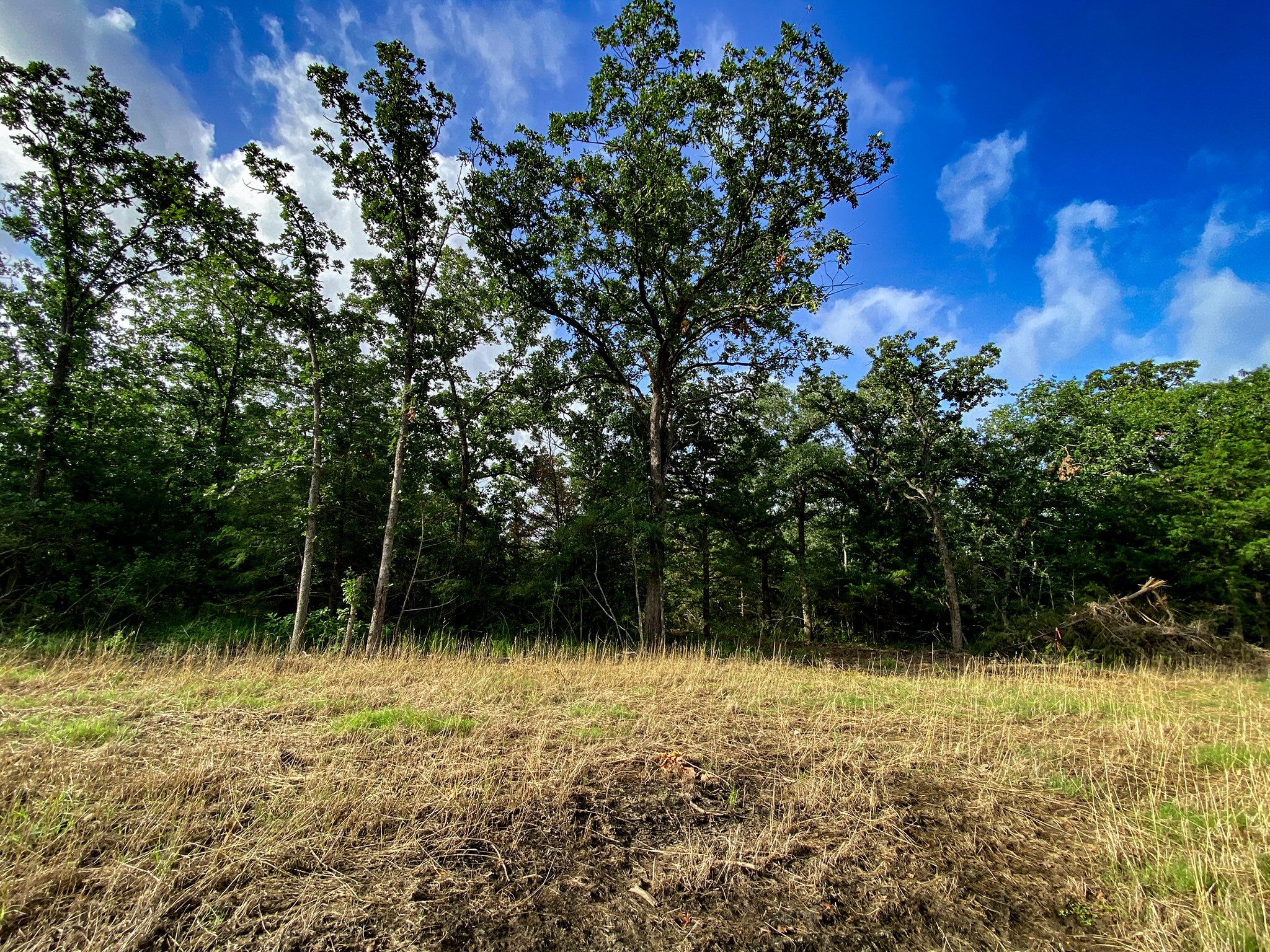 4660 County Road 426 Property Photo 5