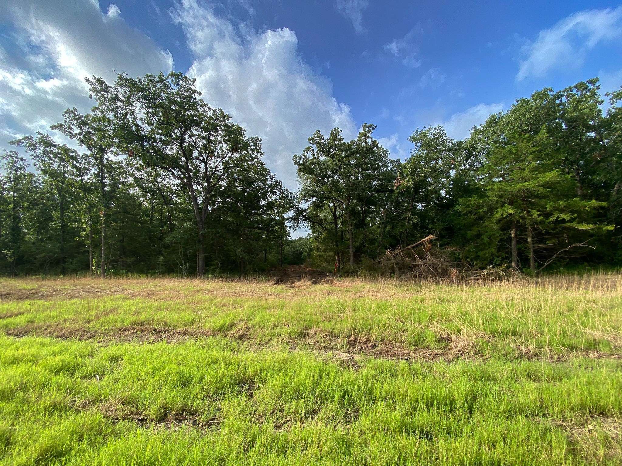 4660 County Road 426 Property Photo 6