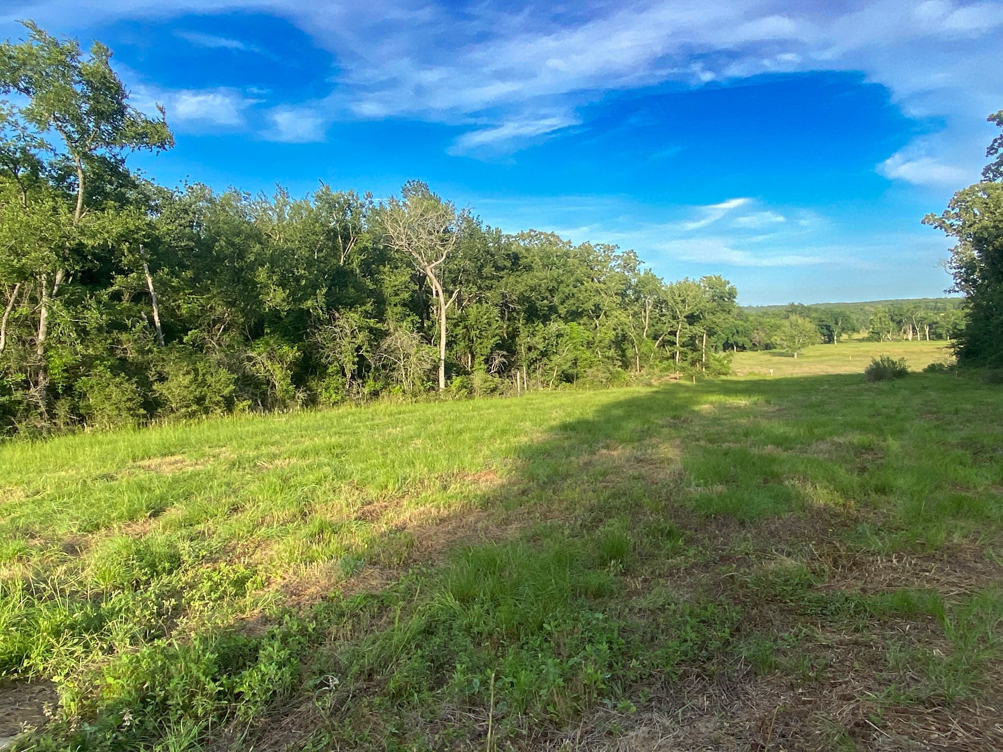 4660 County Road 426 Property Photo 8