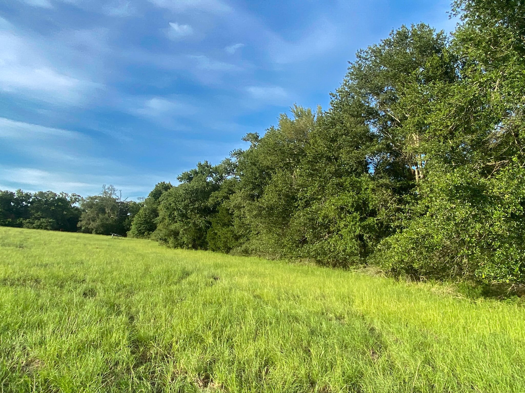 4660 County Road 426 Property Photo 9