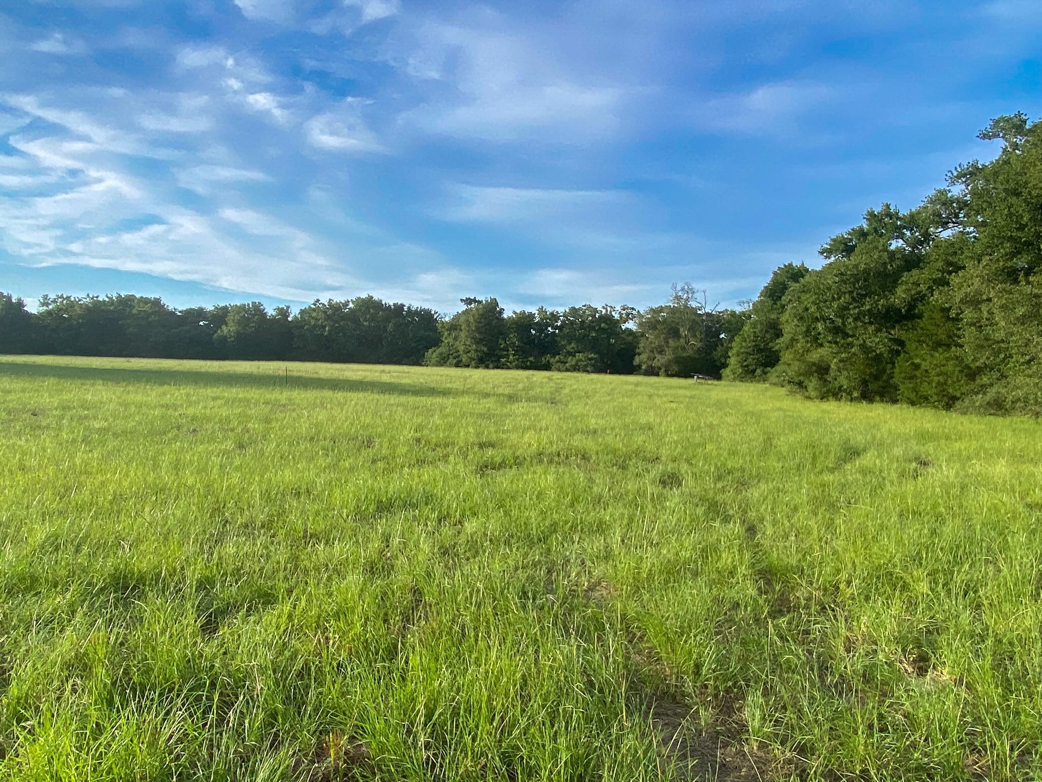 4660 County Road 426 Property Photo 10