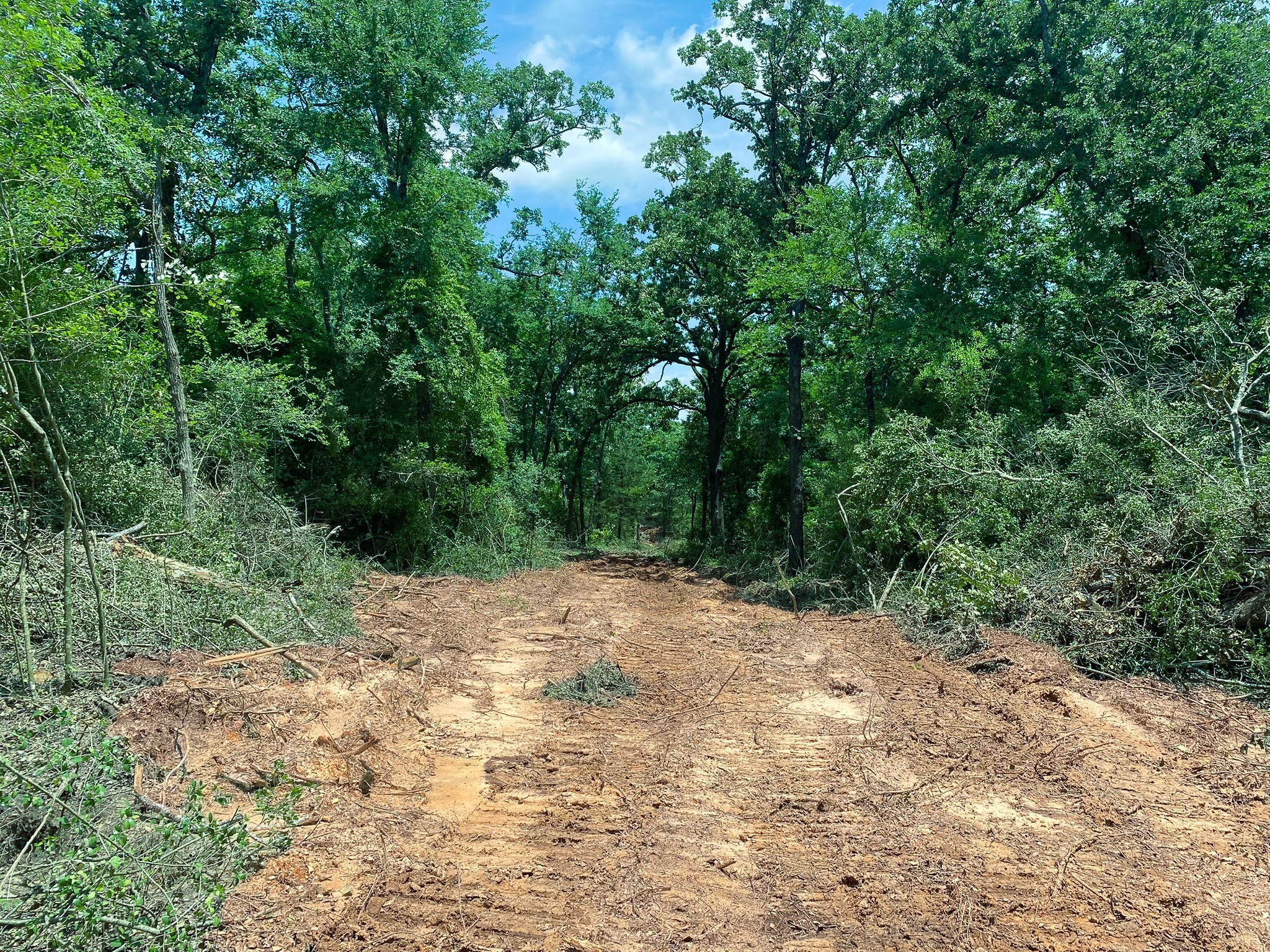 4660 County Road 426 Property Photo 12