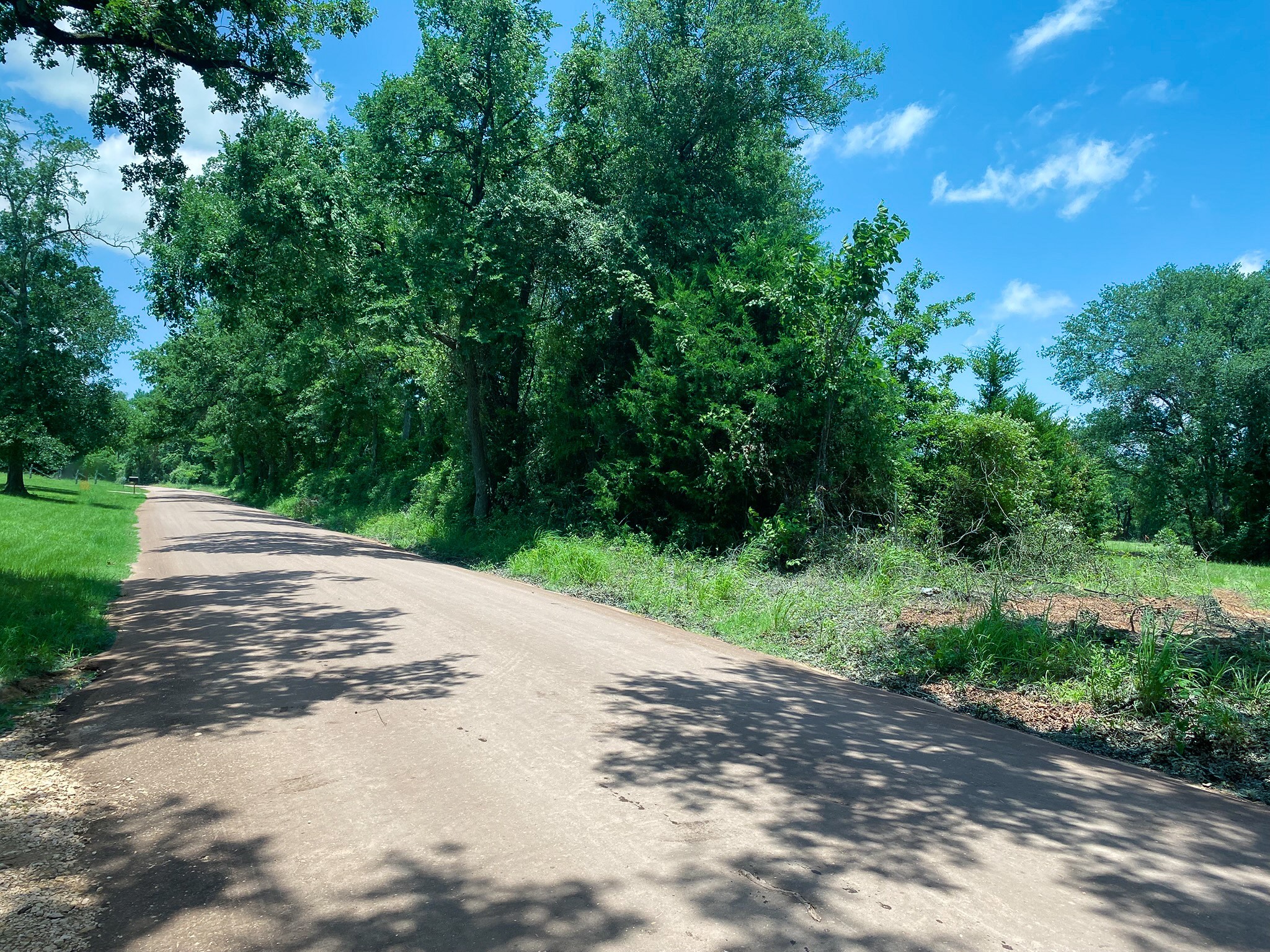 4660 County Road 426 Property Photo 13