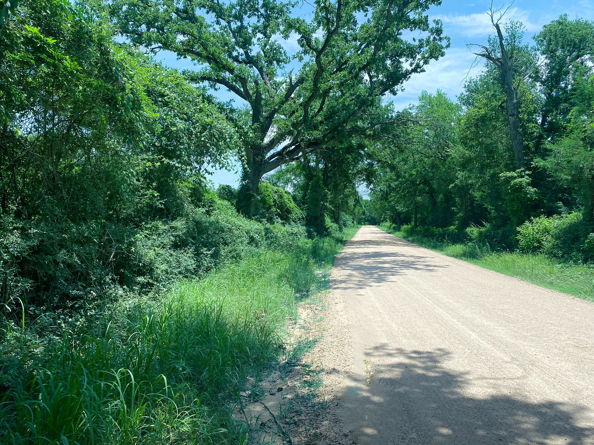 4660 County Road 426 Property Photo 14