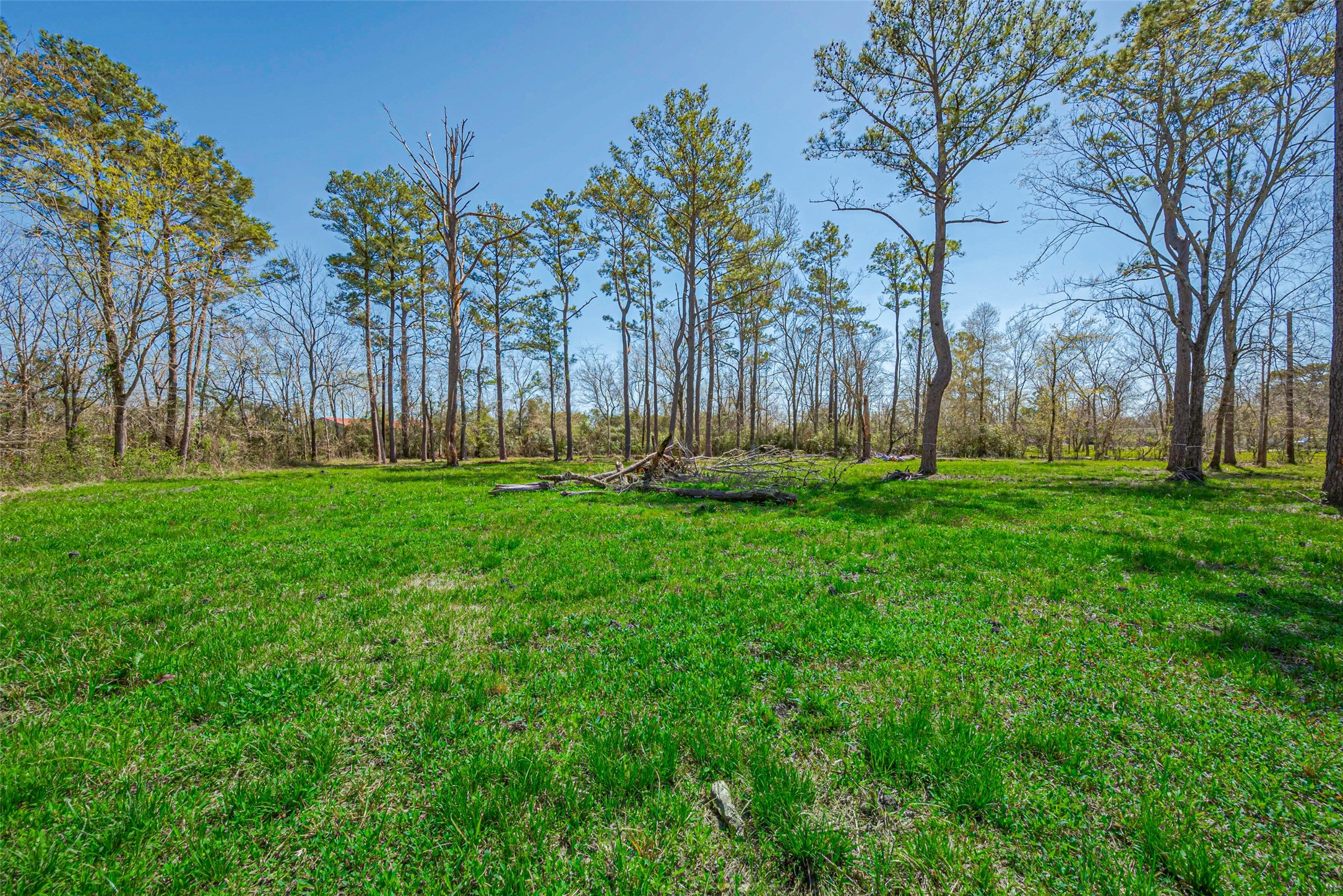 000 Stag Circle Property Photo