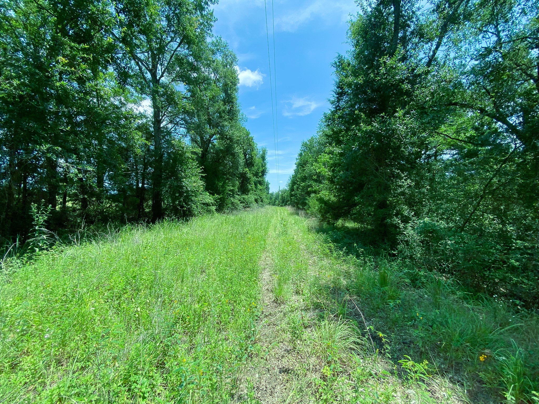 TR3 HWY 7 Property Photo 1