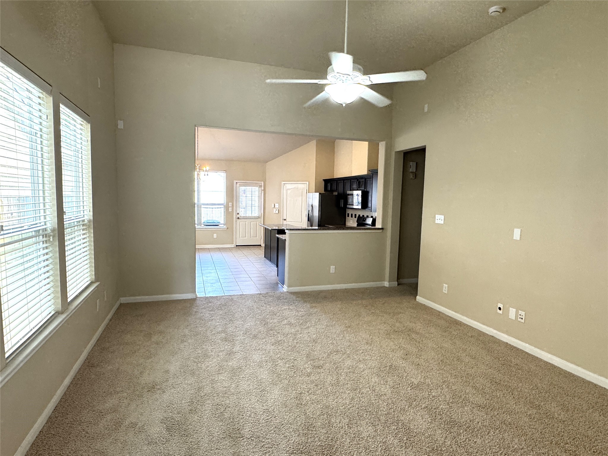 17207 Mitchell Pass Lane Property Photo 3