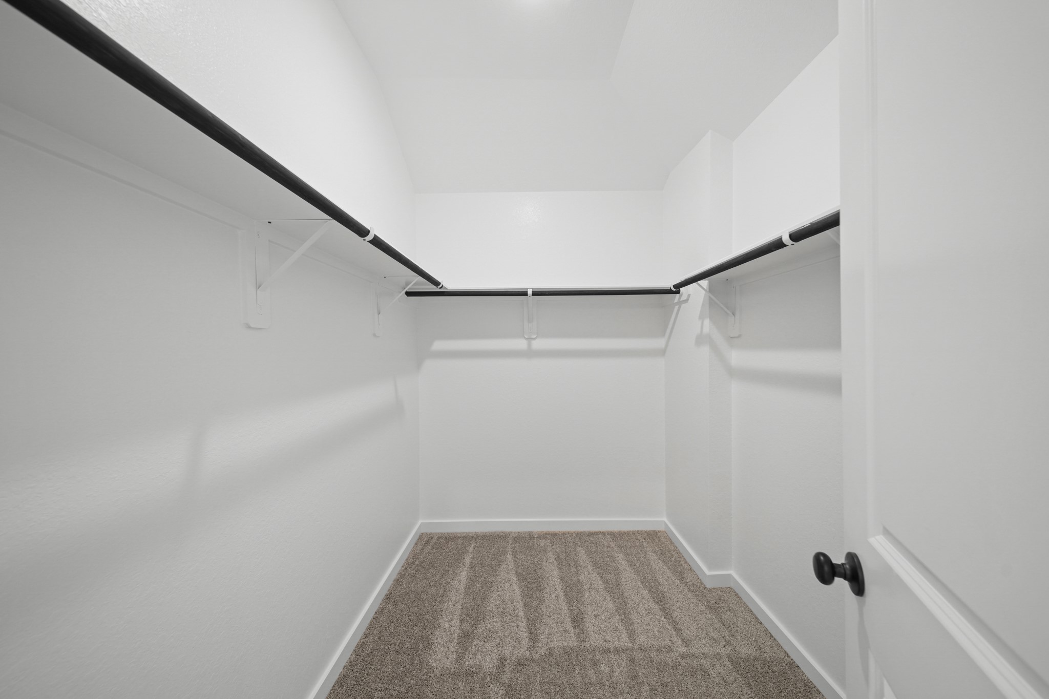 10206 Van Gogh Court Property Photo 11