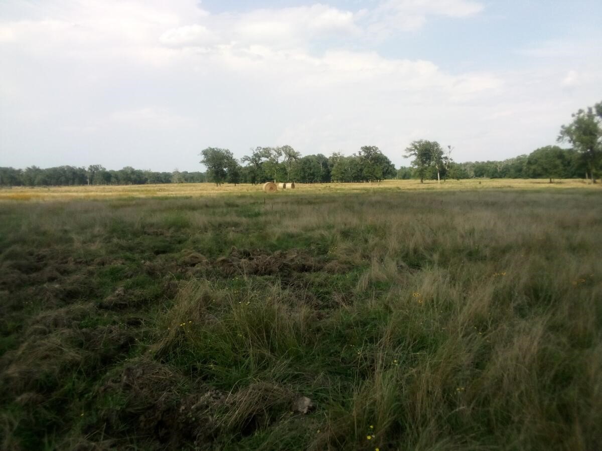 Tr 87 County Road 231 Property Photo 9