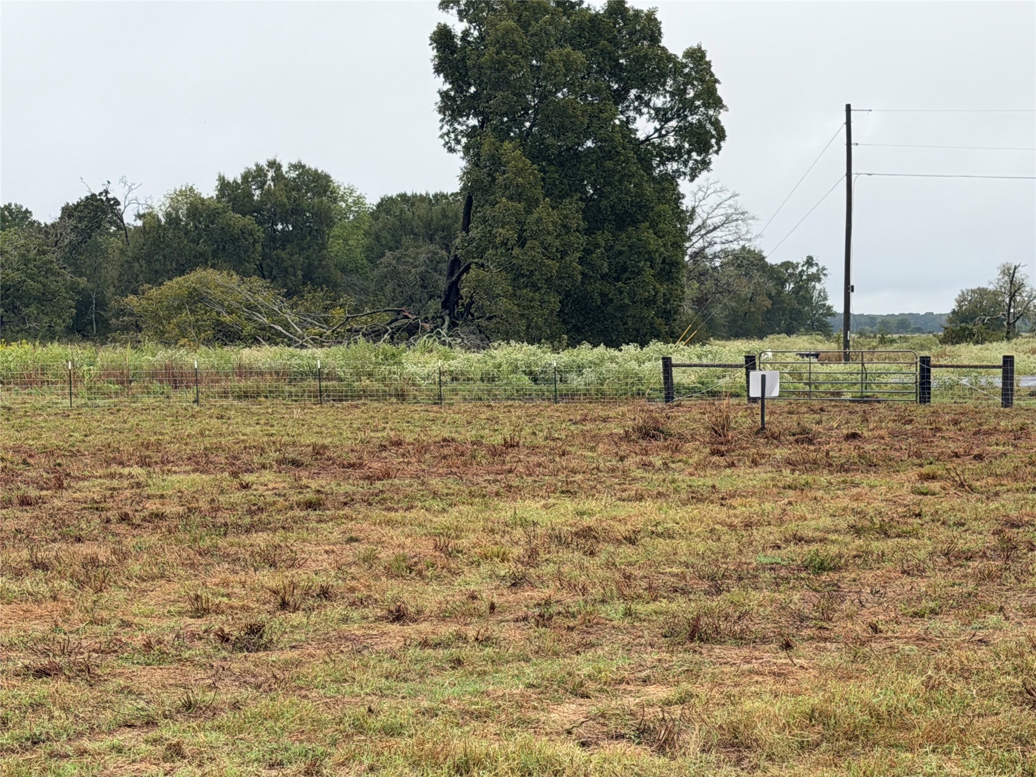 Tr 87 County Road 231 Property Photo 16