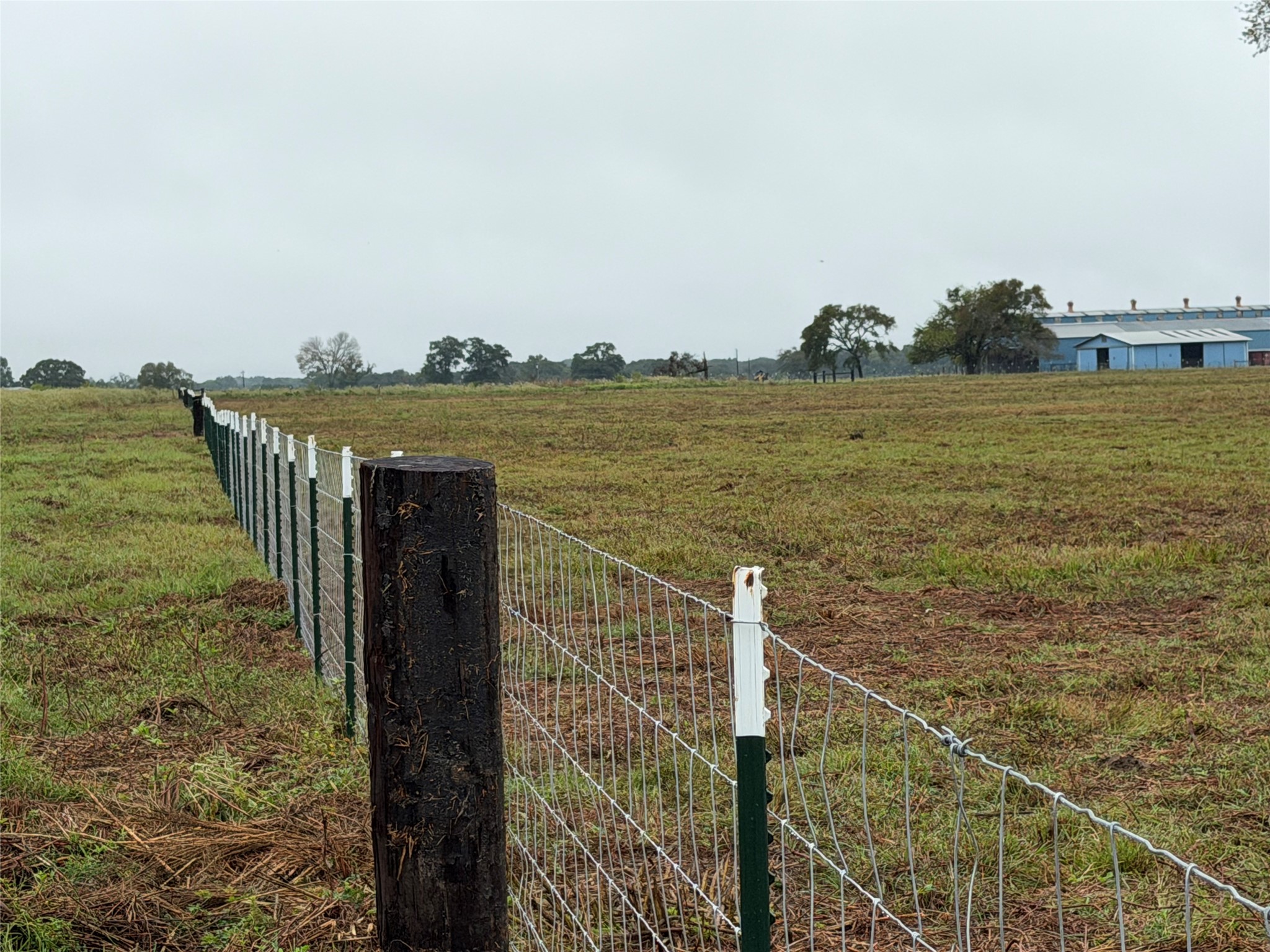 Tr 87 County Road 231 Property Photo 17