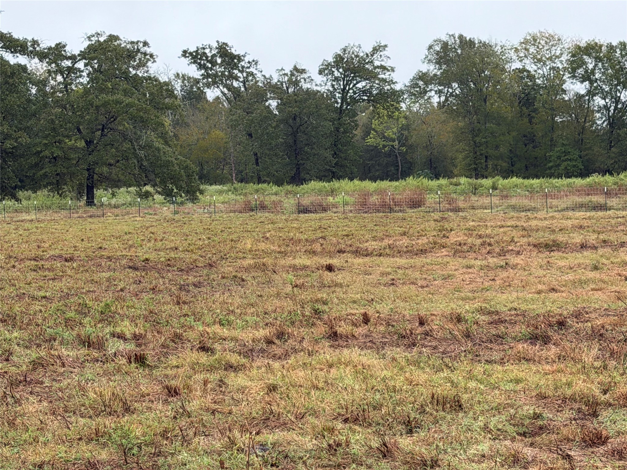 Tr 87 County Road 231 Property Photo 18