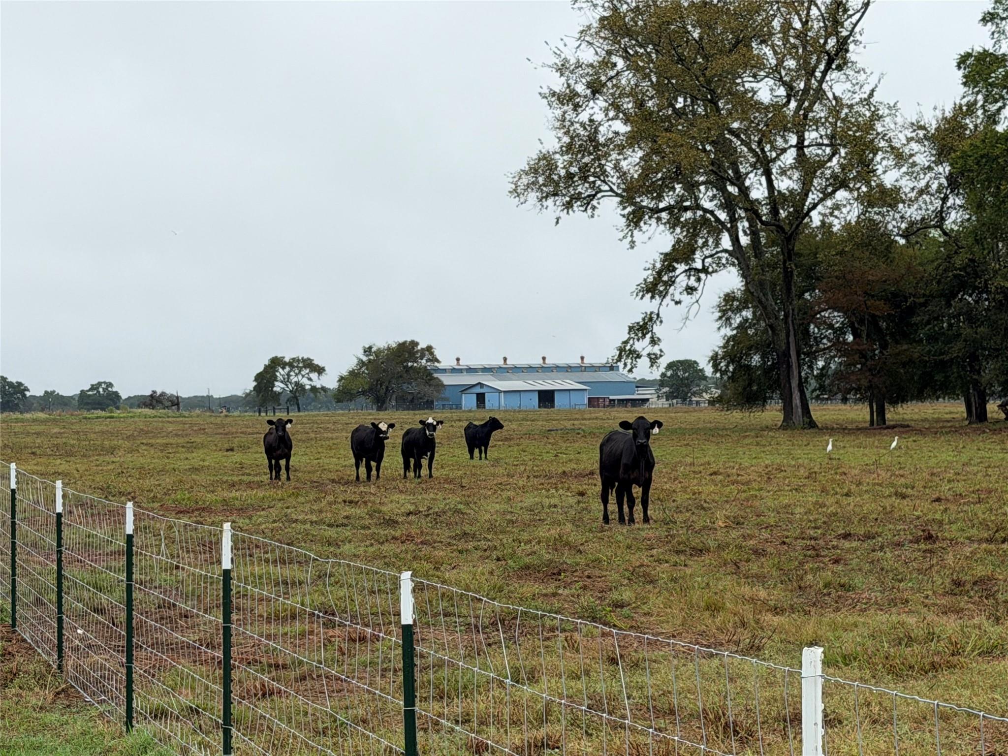 Tr 87 County Road 231 Property Photo 19