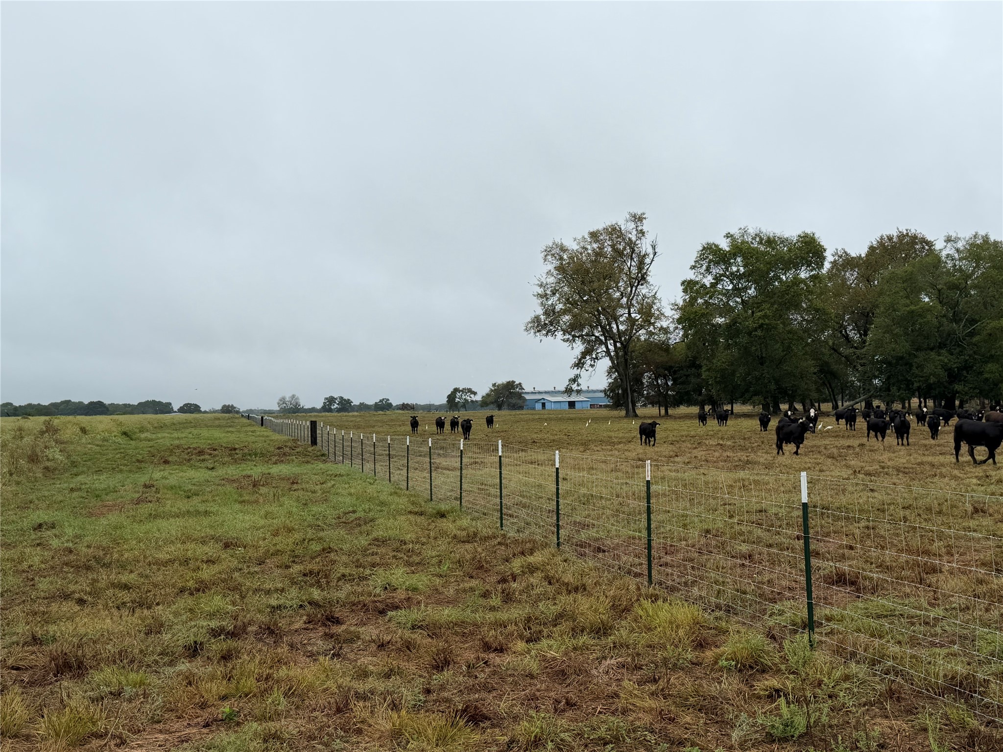 Tr 87 County Road 231 Property Photo 20