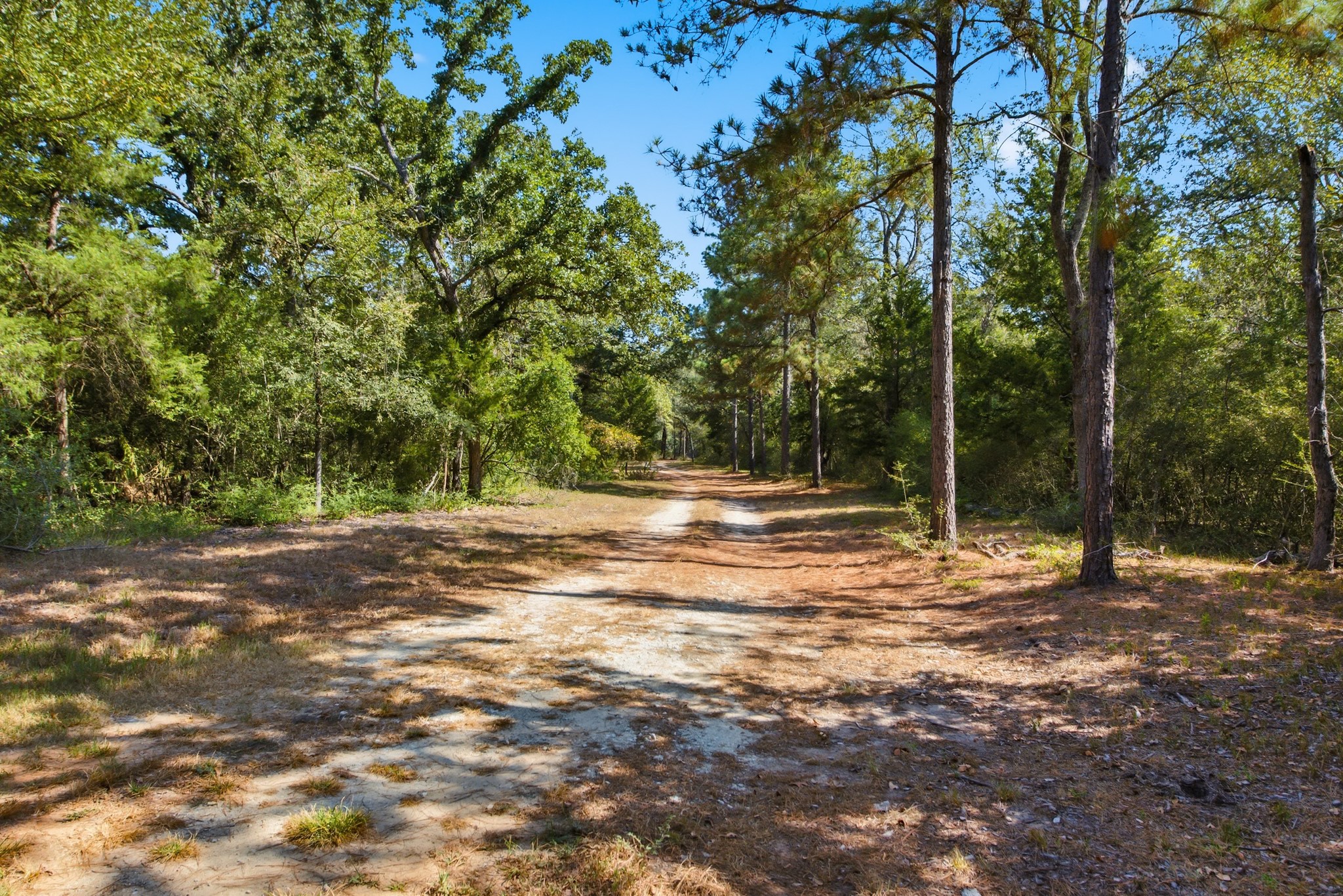 12380 Post Oak Lane Property Photo 3