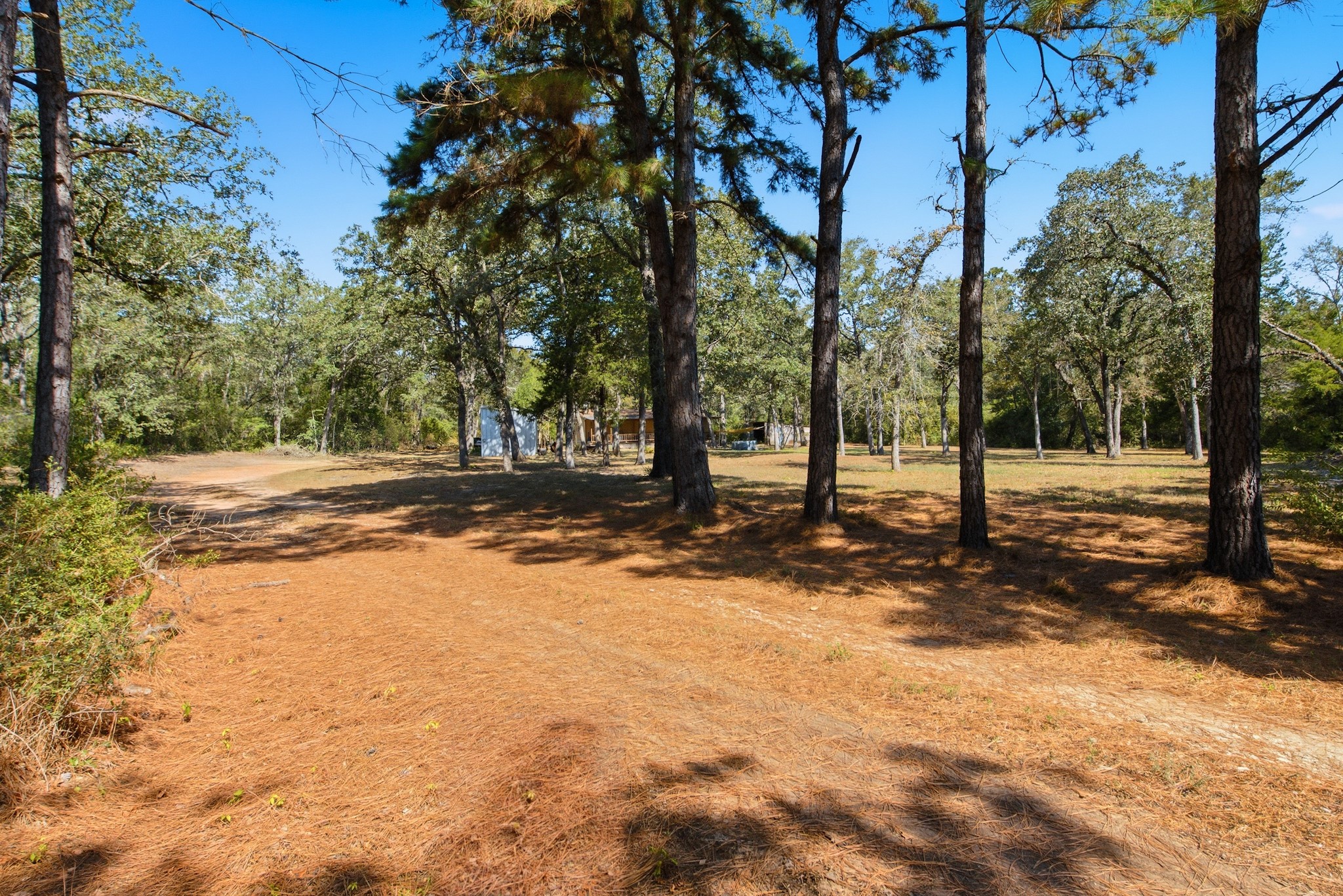 12380 Post Oak Lane Property Photo 4