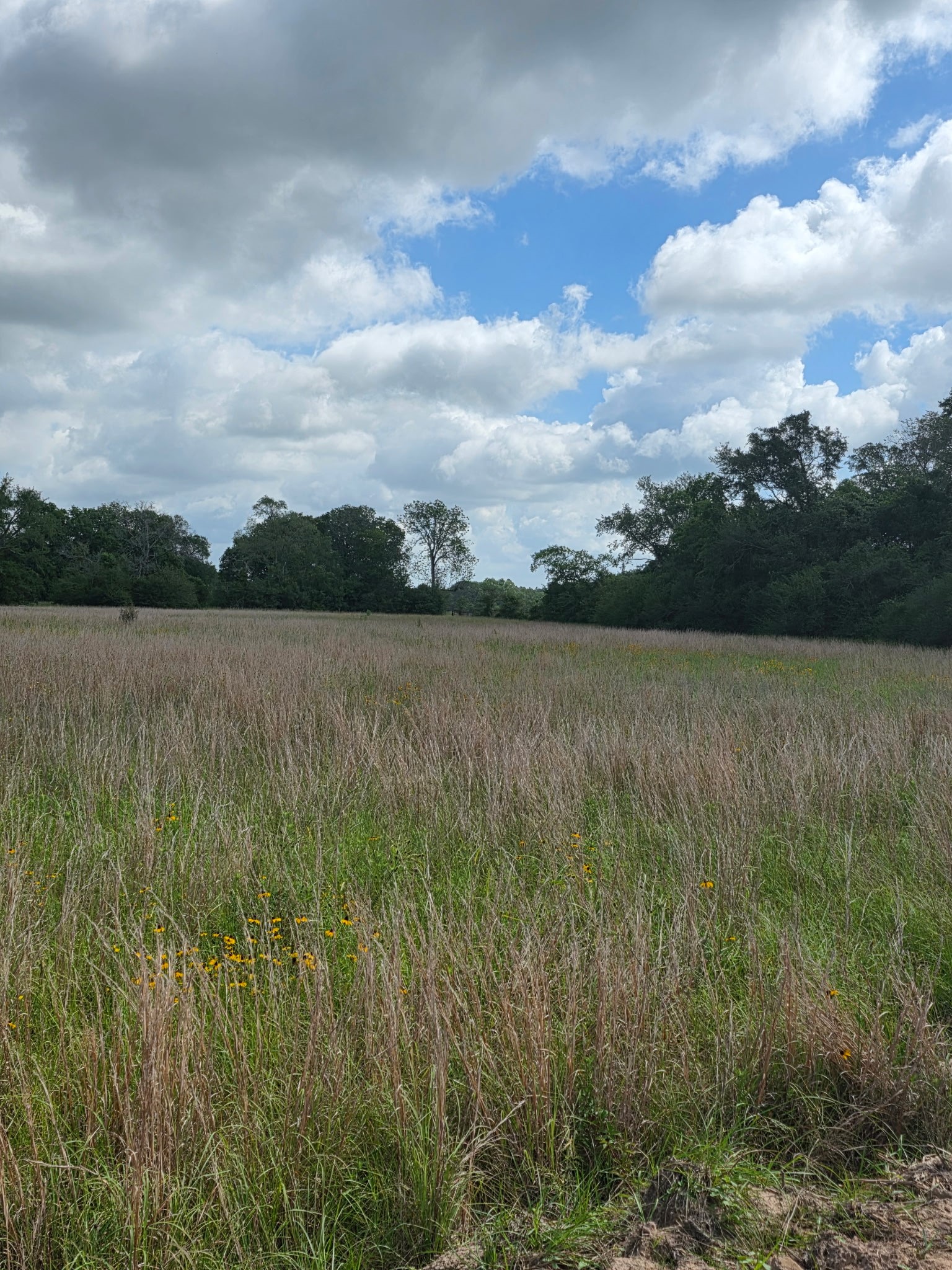 Tbd Lot 5 County Road 201 Property Photo 2