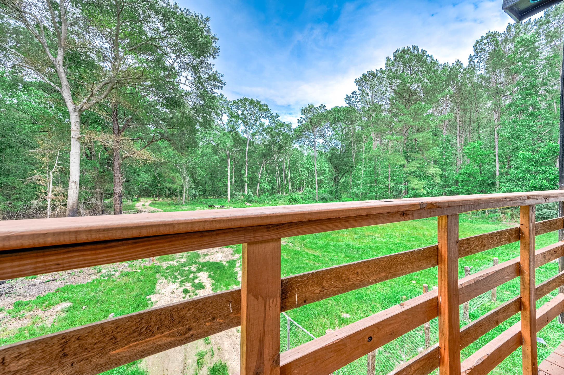 51 N Winter Creek Property Photo 5