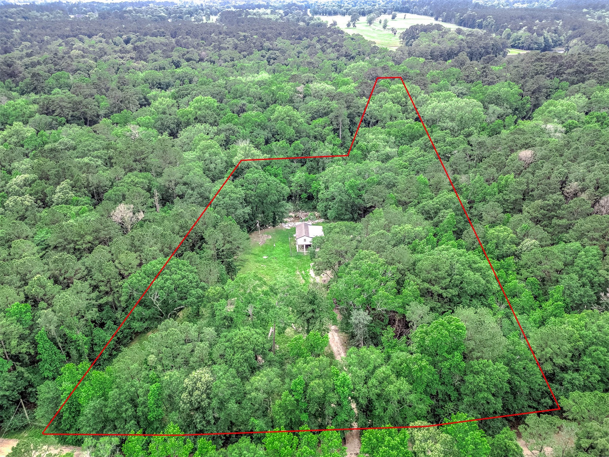 51 N Winter Creek Property Photo 31