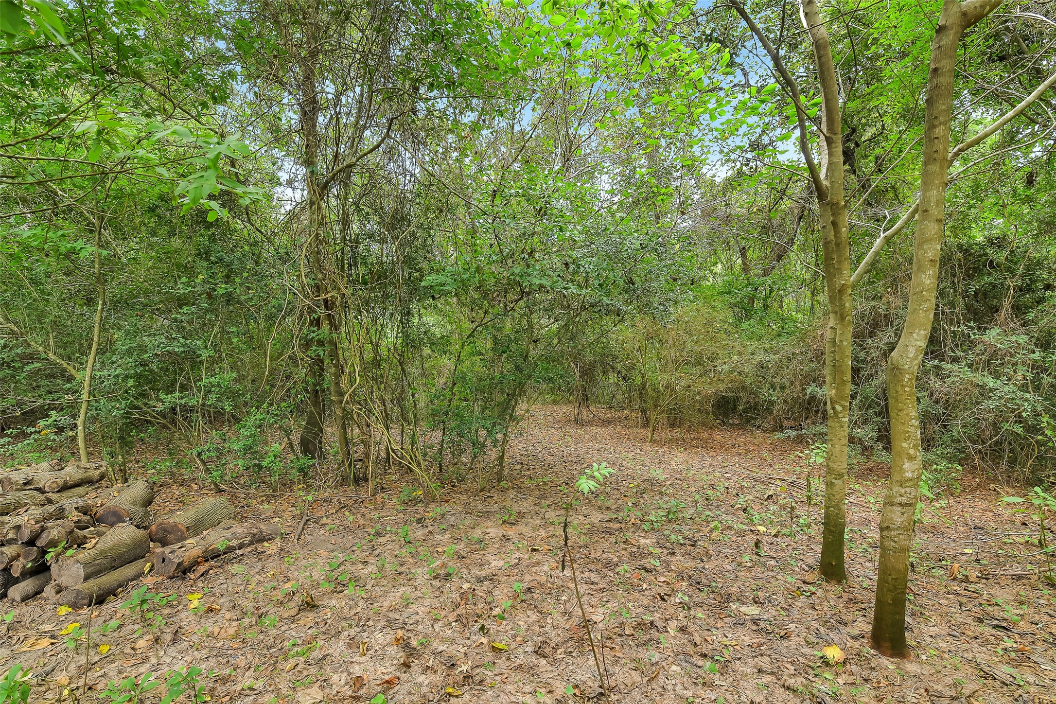 100 Oak Hollow Boulevard Property Photo 10