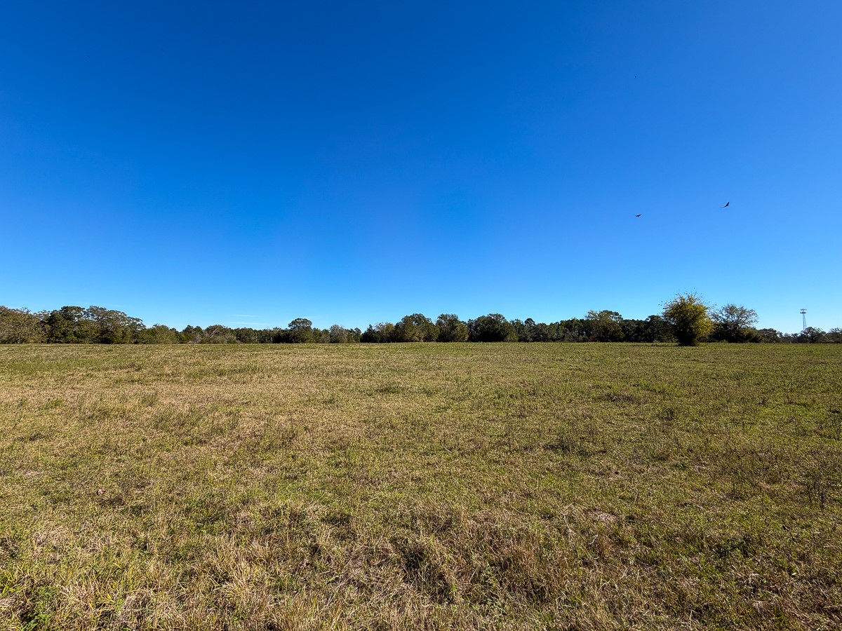 1658 State Highway 75 N Property Photo 5