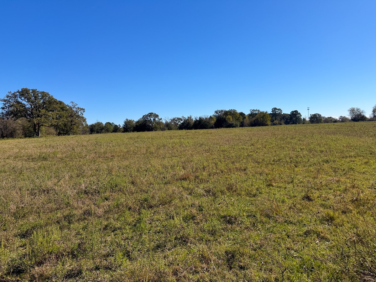 1658 State Highway 75 N Property Photo 11