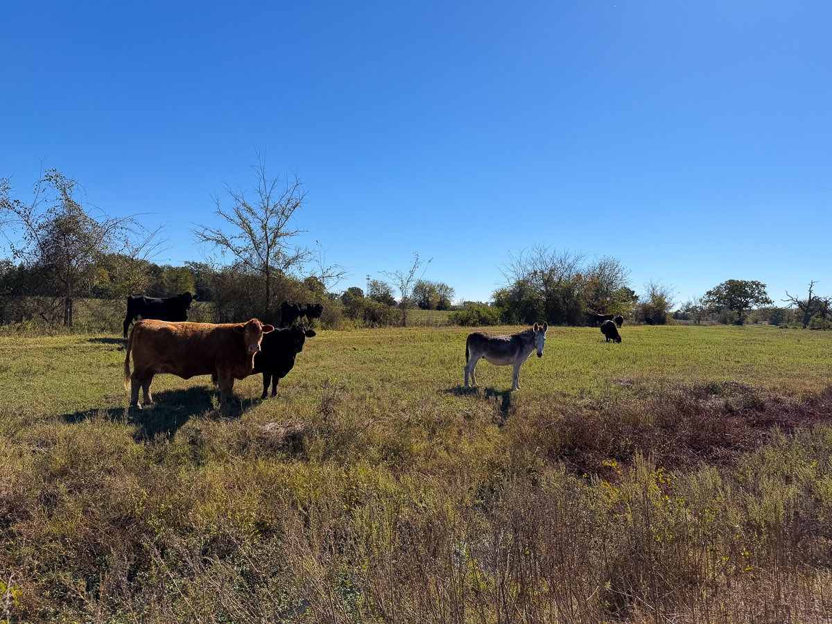 1658 State Highway 75 N Property Photo 12
