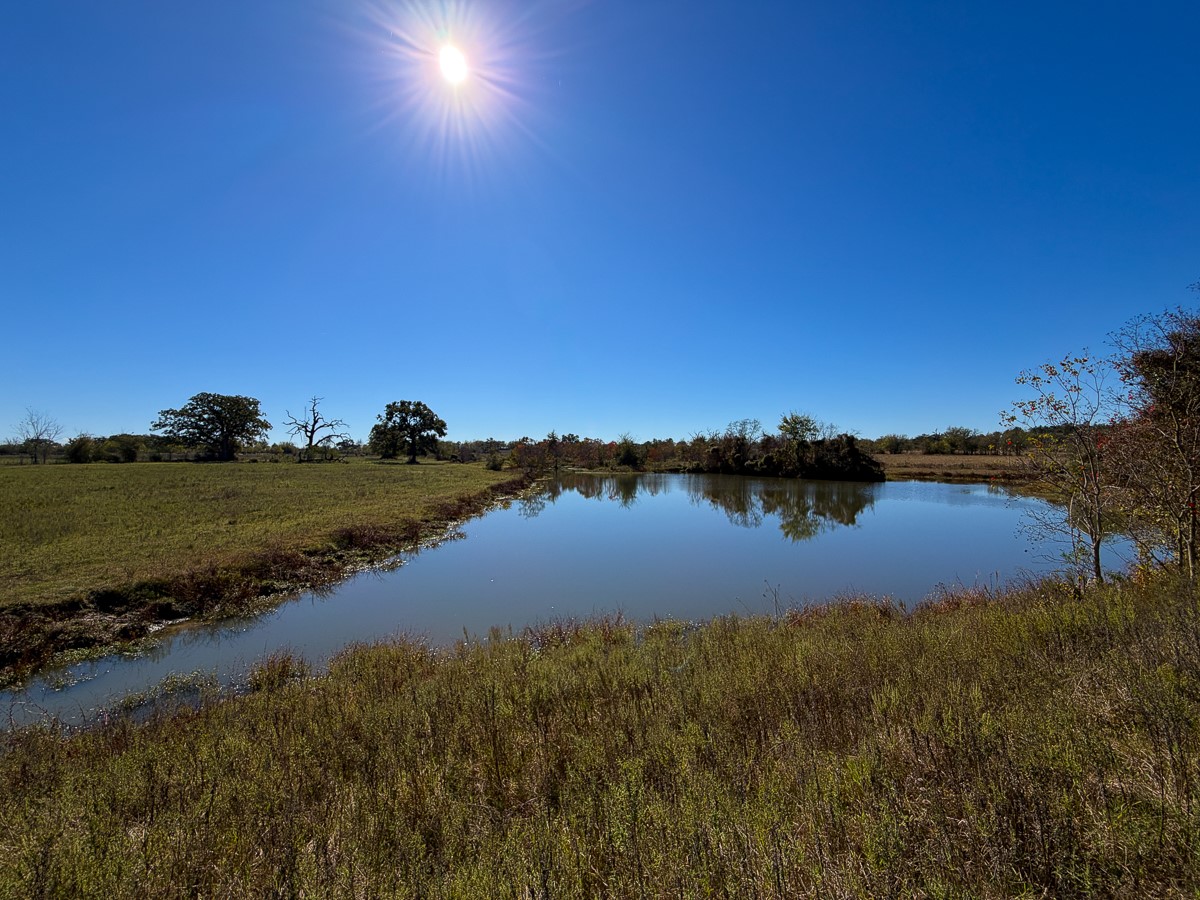 1658 State Highway 75 N Property Photo 13