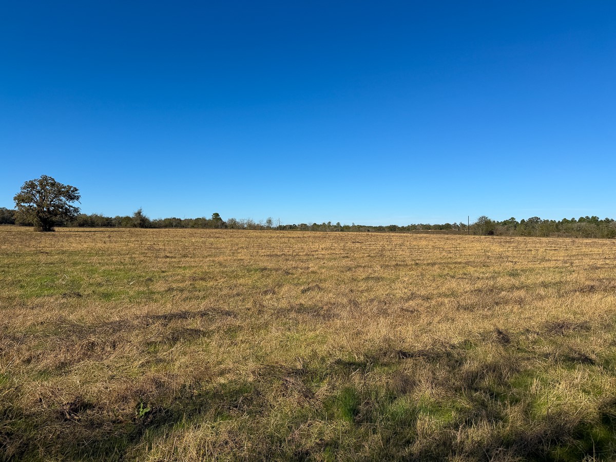 1658 State Highway 75 N Property Photo 14