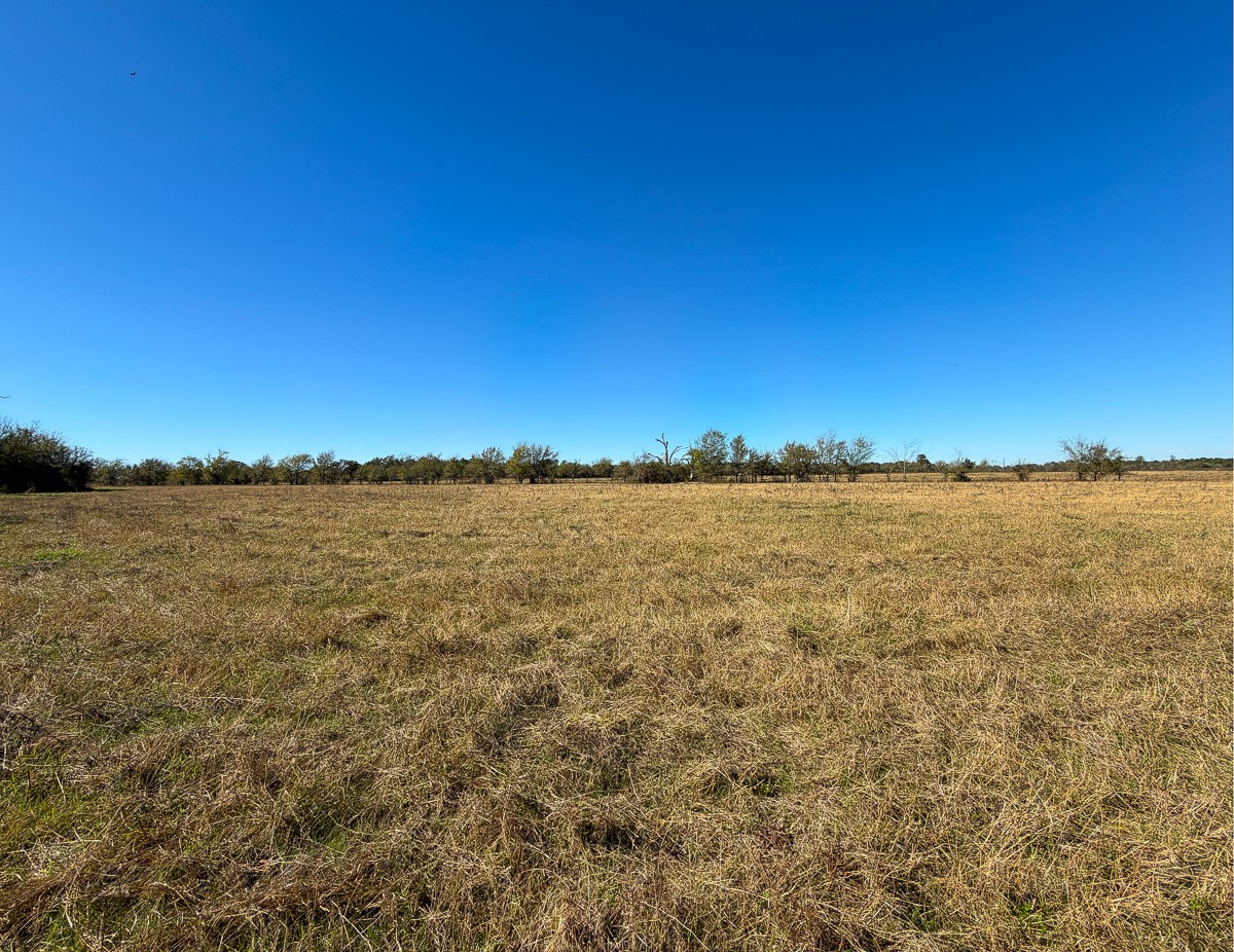 1658 State Highway 75 N Property Photo 15